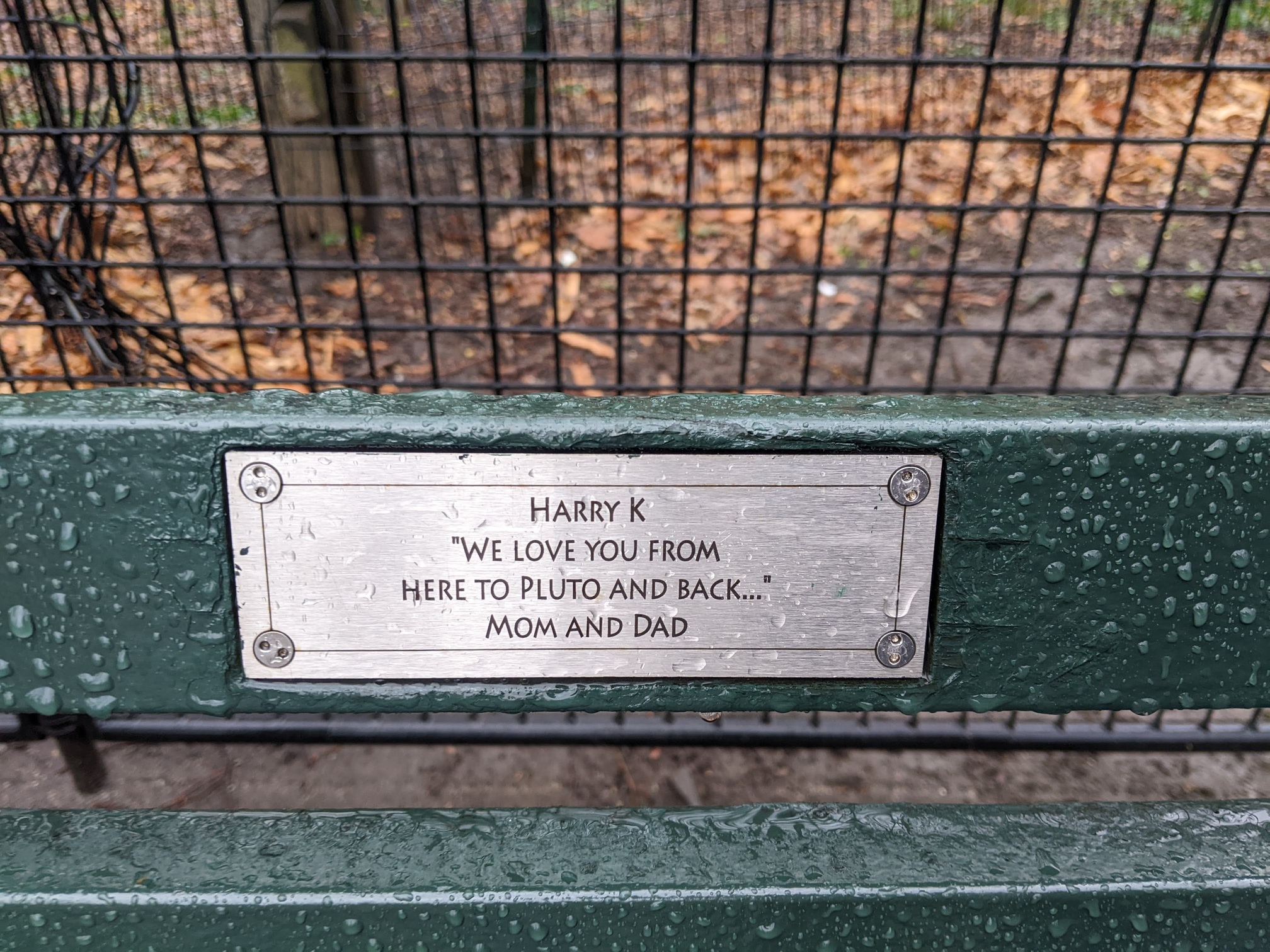 I saw this bench in Central Park