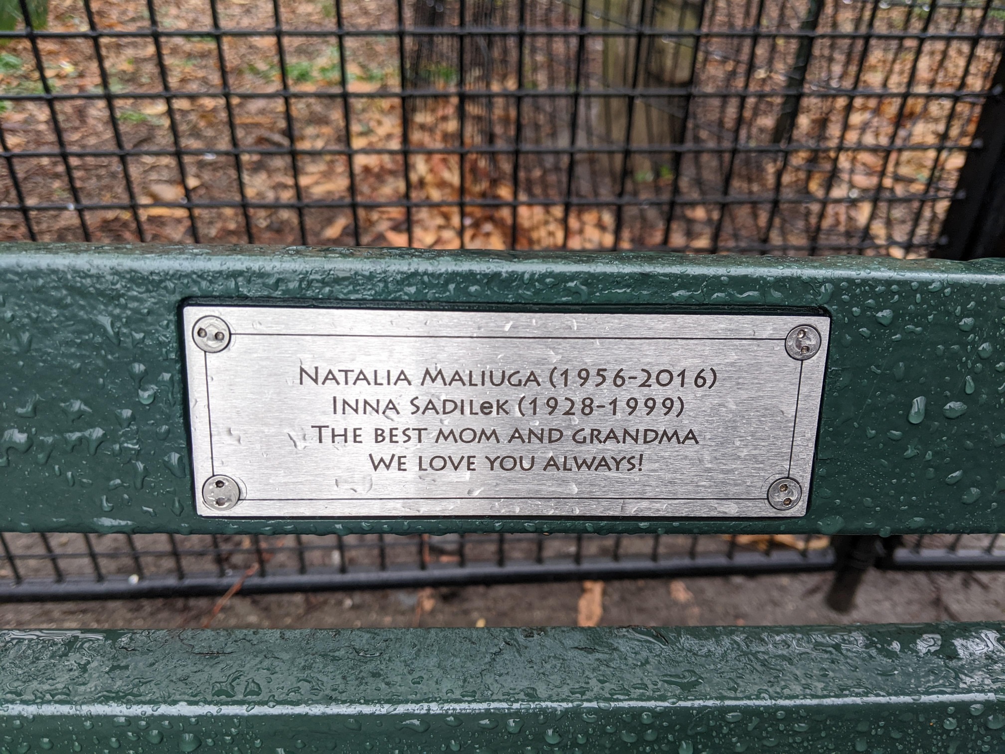 I saw this bench in Central Park