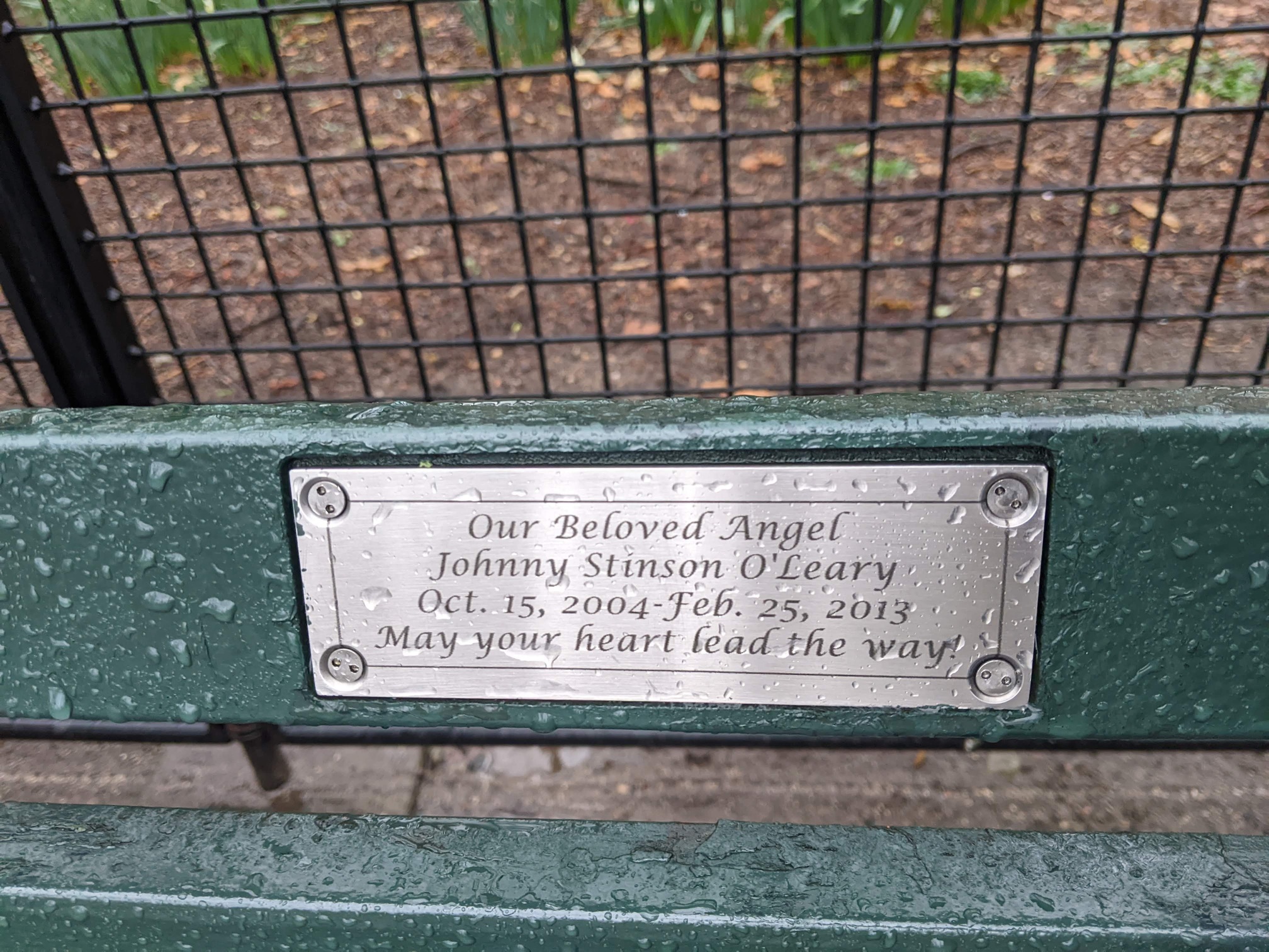 I saw this bench in Central Park