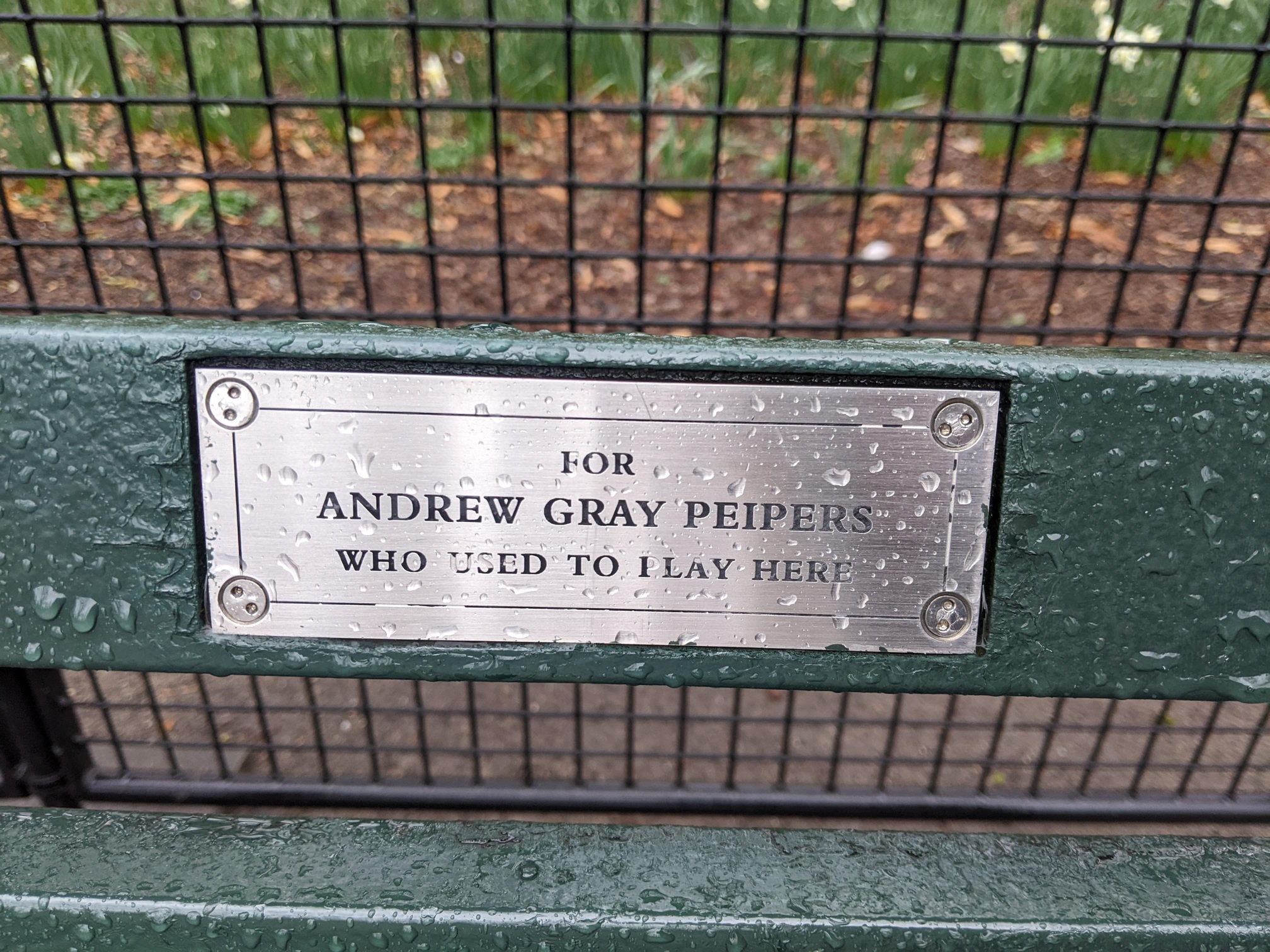 I saw this bench in Central Park