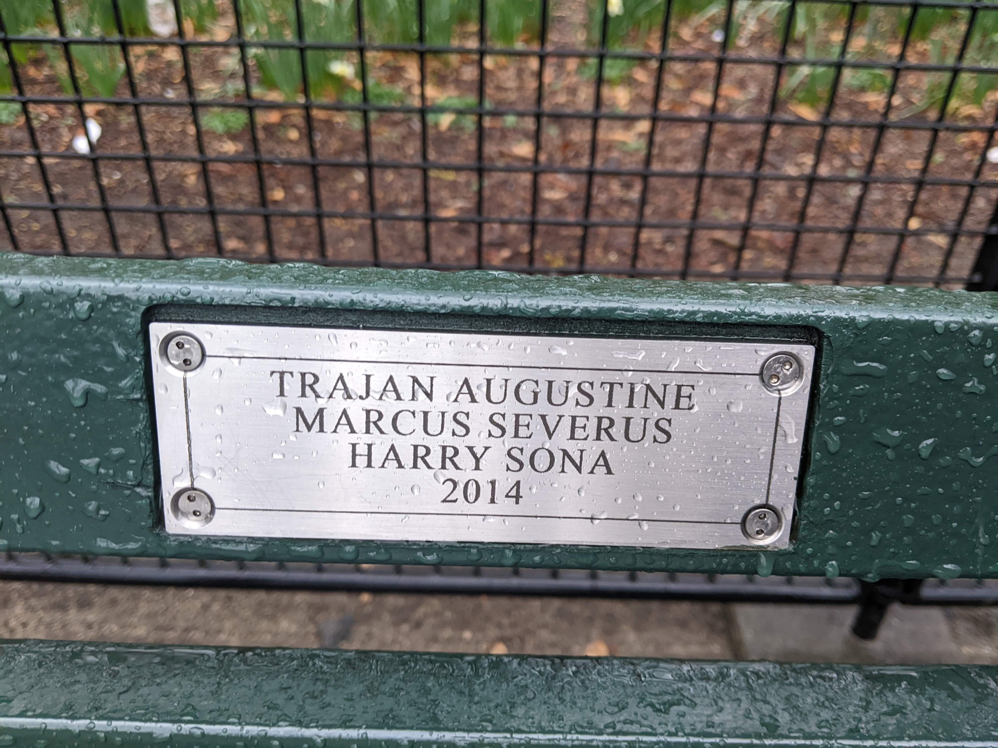 I saw this bench in Central Park