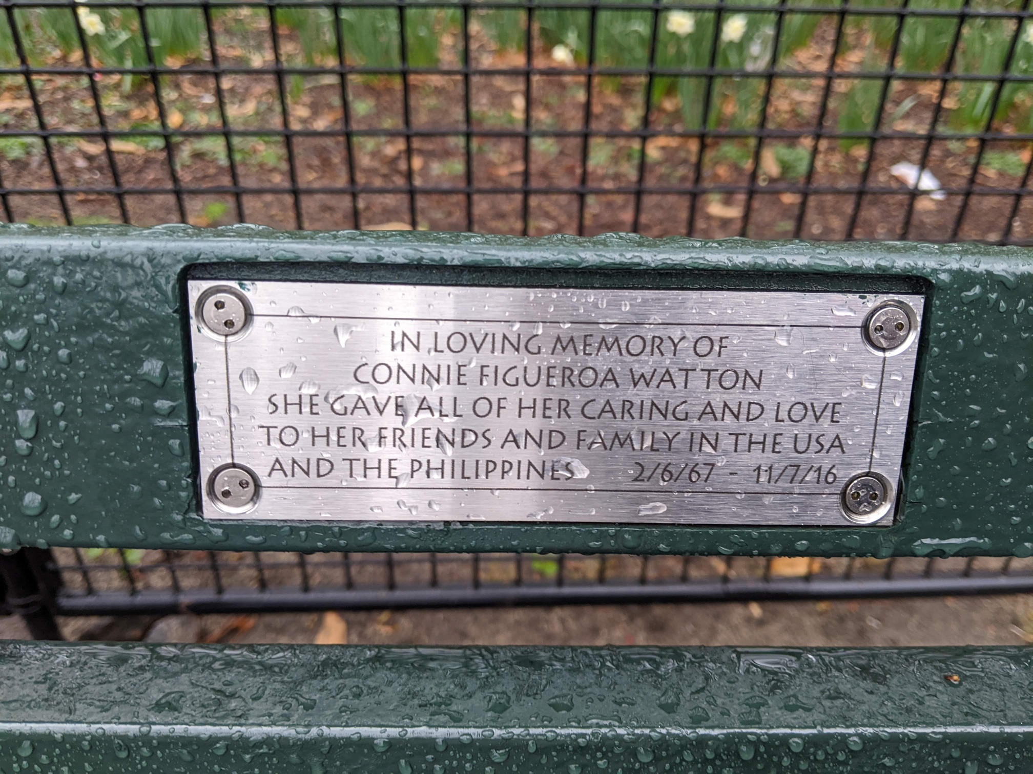 I saw this bench in Central Park