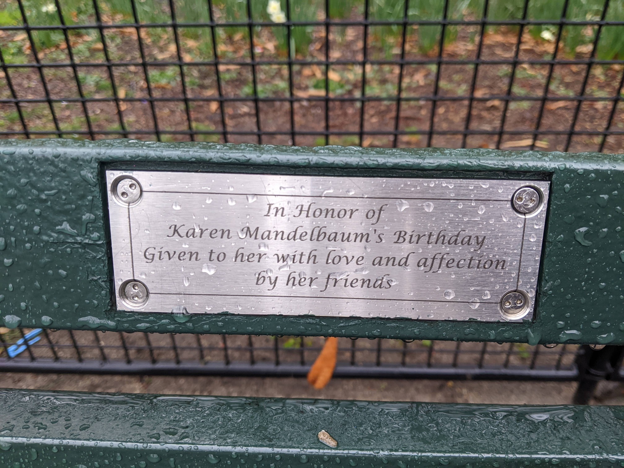 I saw this bench in Central Park