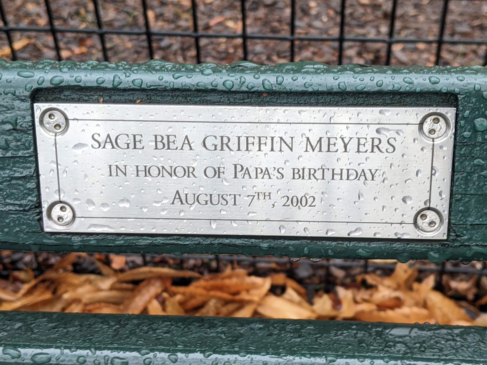 I saw this bench in Central Park