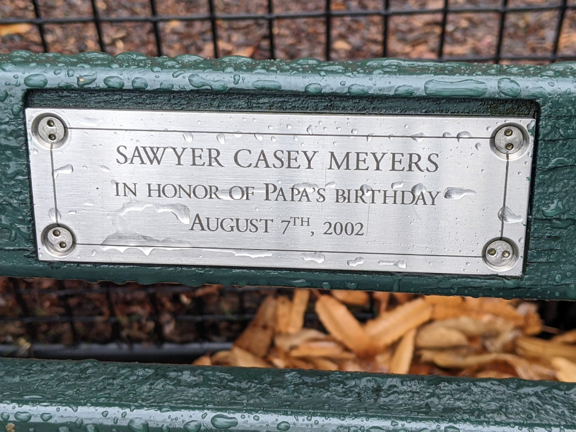 I saw this bench in Central Park