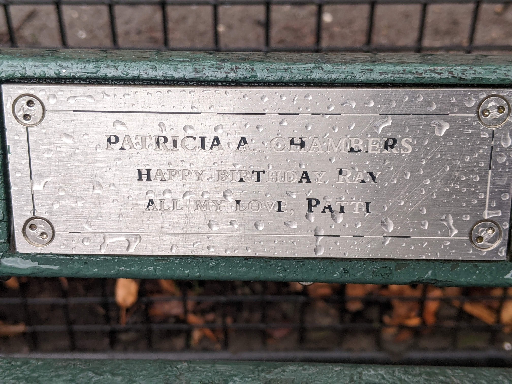 I saw this bench in Central Park