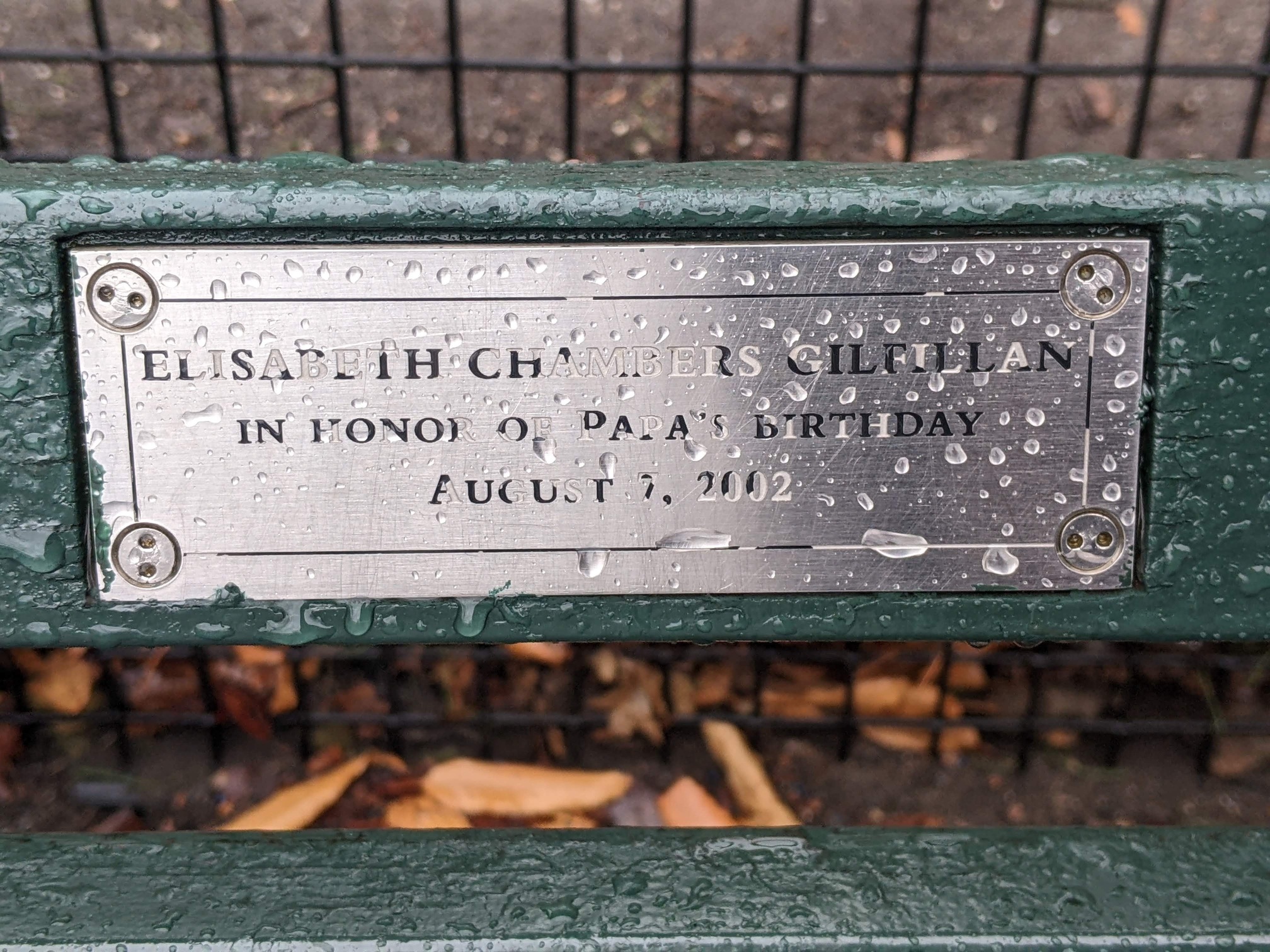 I saw this bench in Central Park