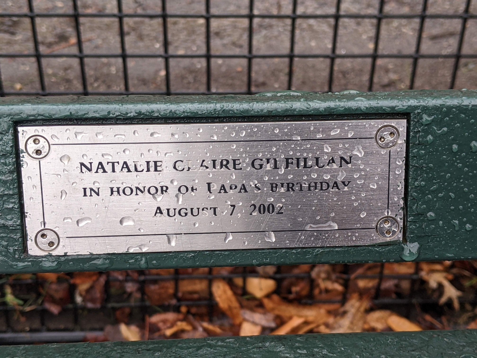 I saw this bench in Central Park