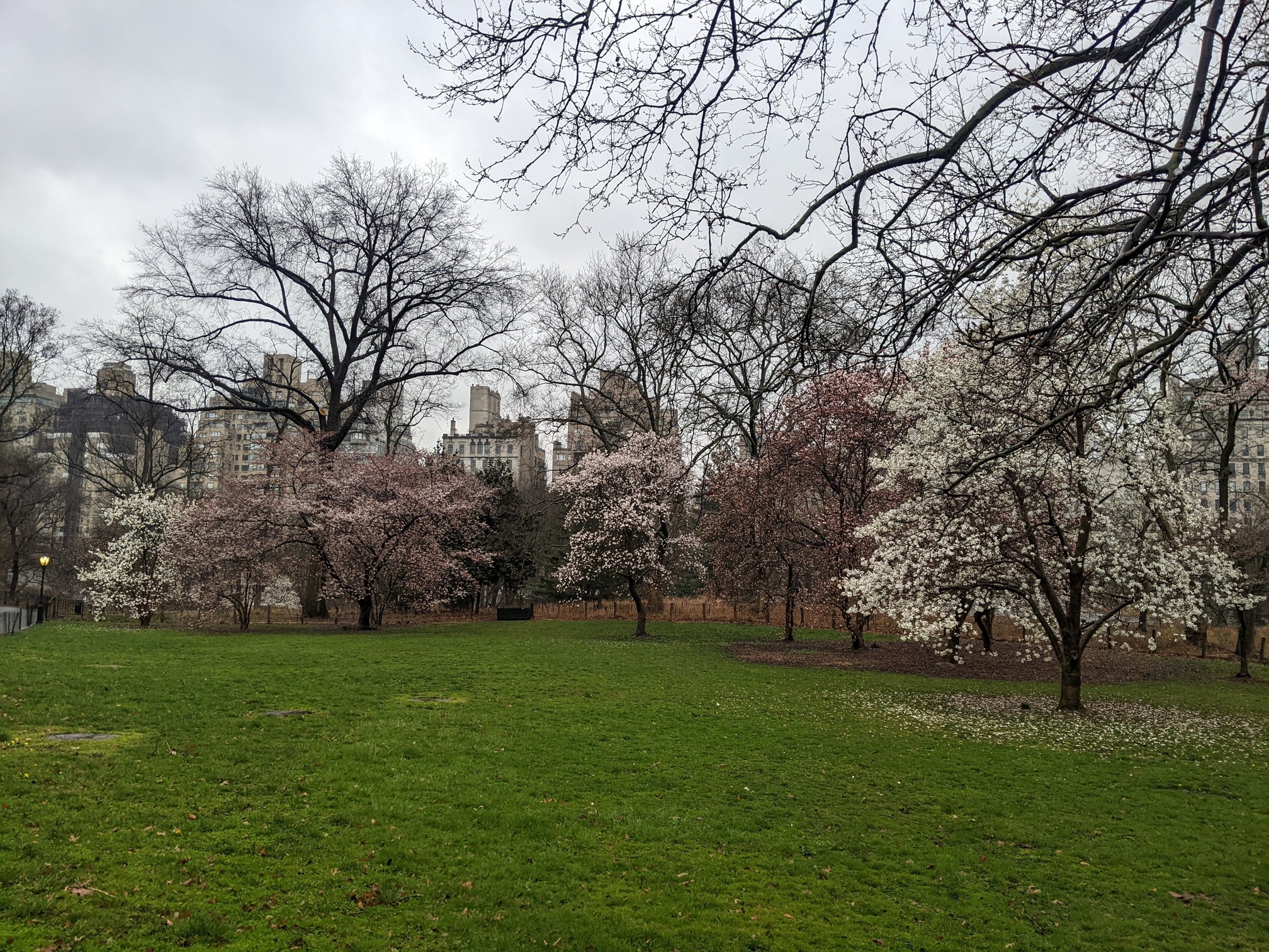 I saw this bench in Central Park