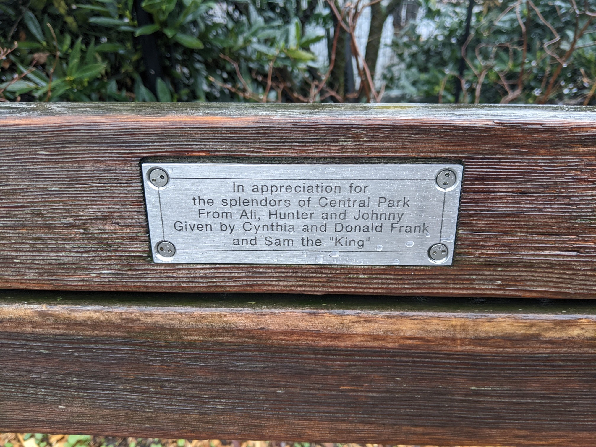 I saw this bench in Central Park