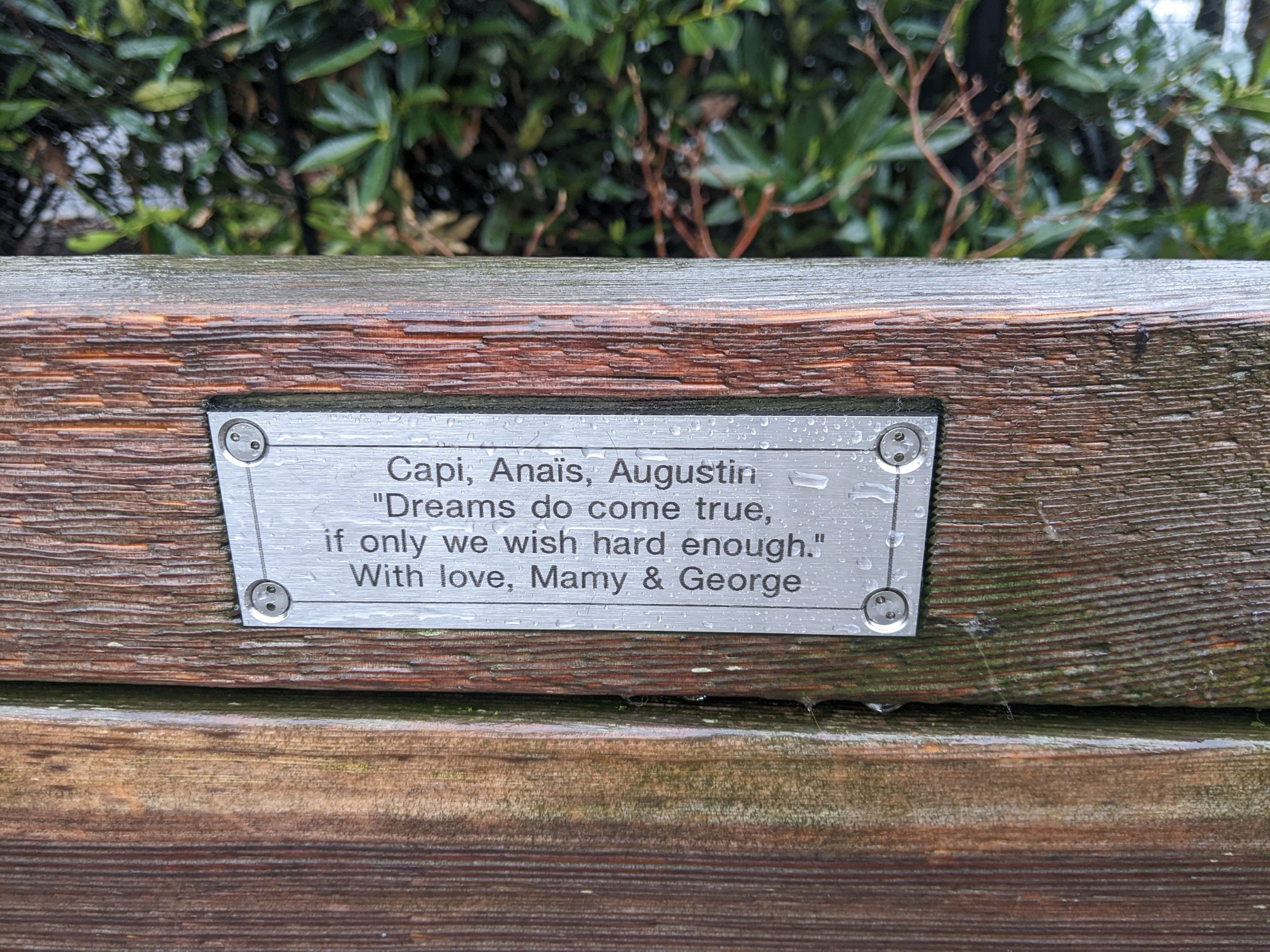 I saw this bench in Central Park