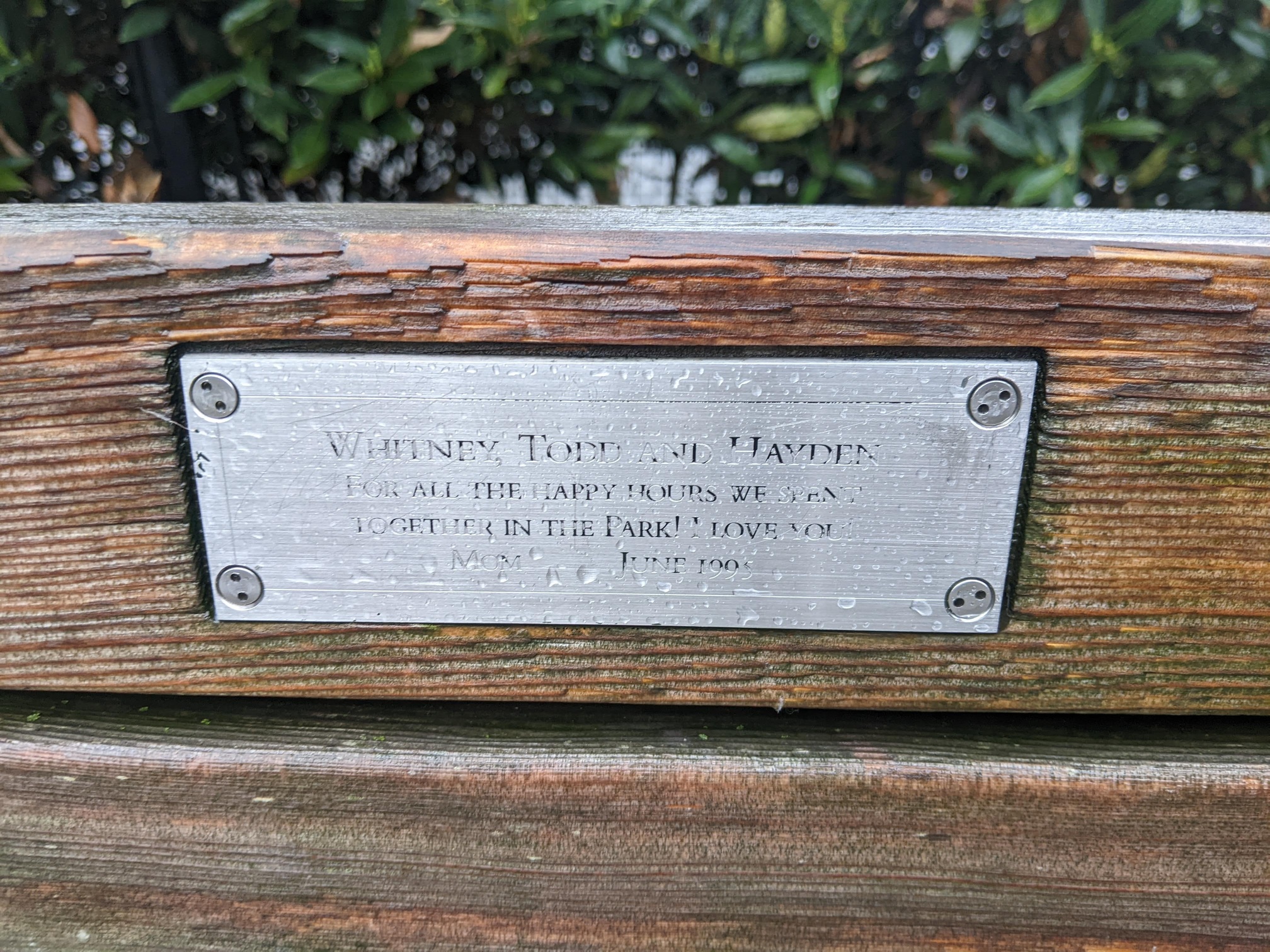 I saw this bench in Central Park