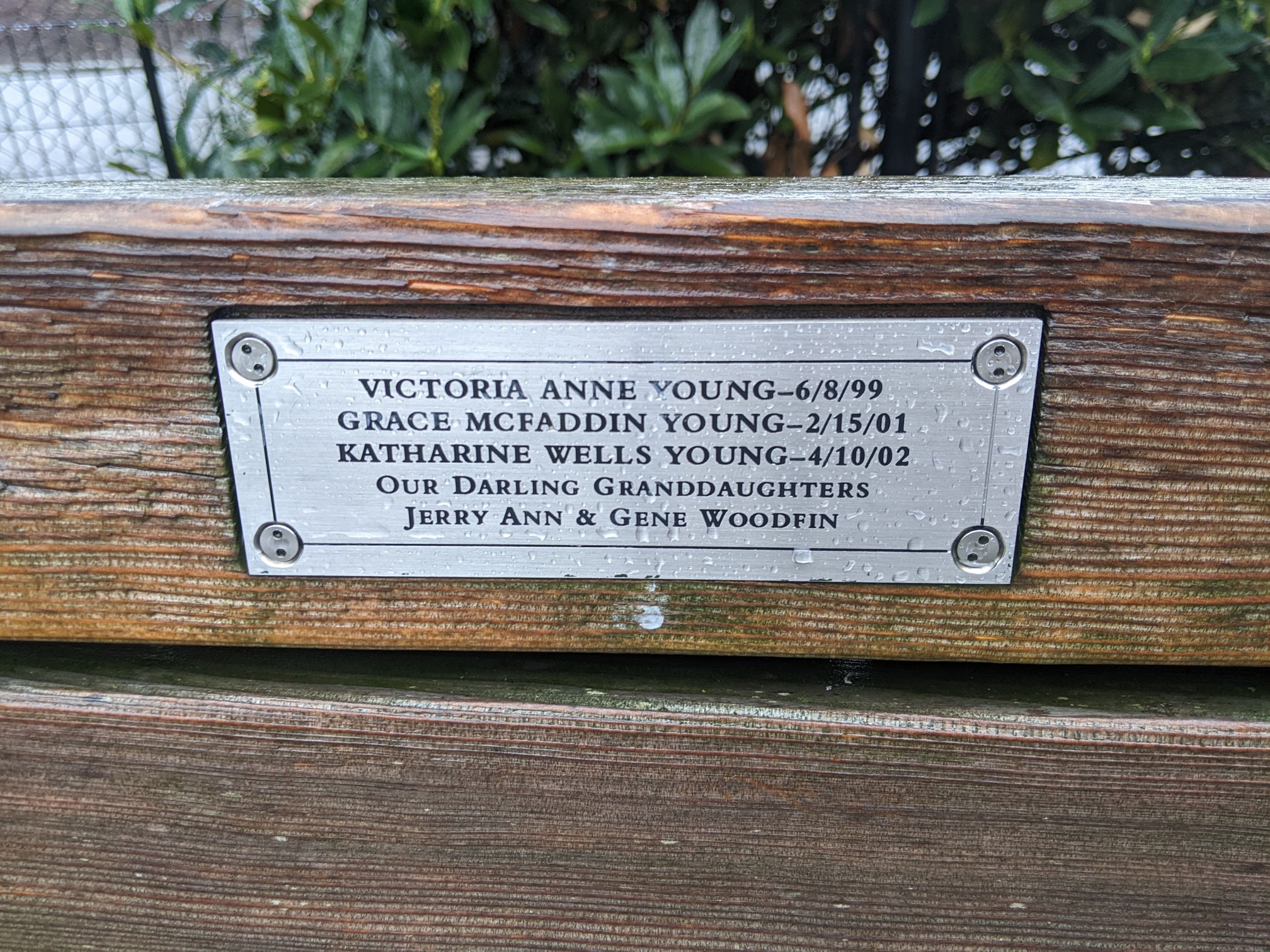 I saw this bench in Central Park