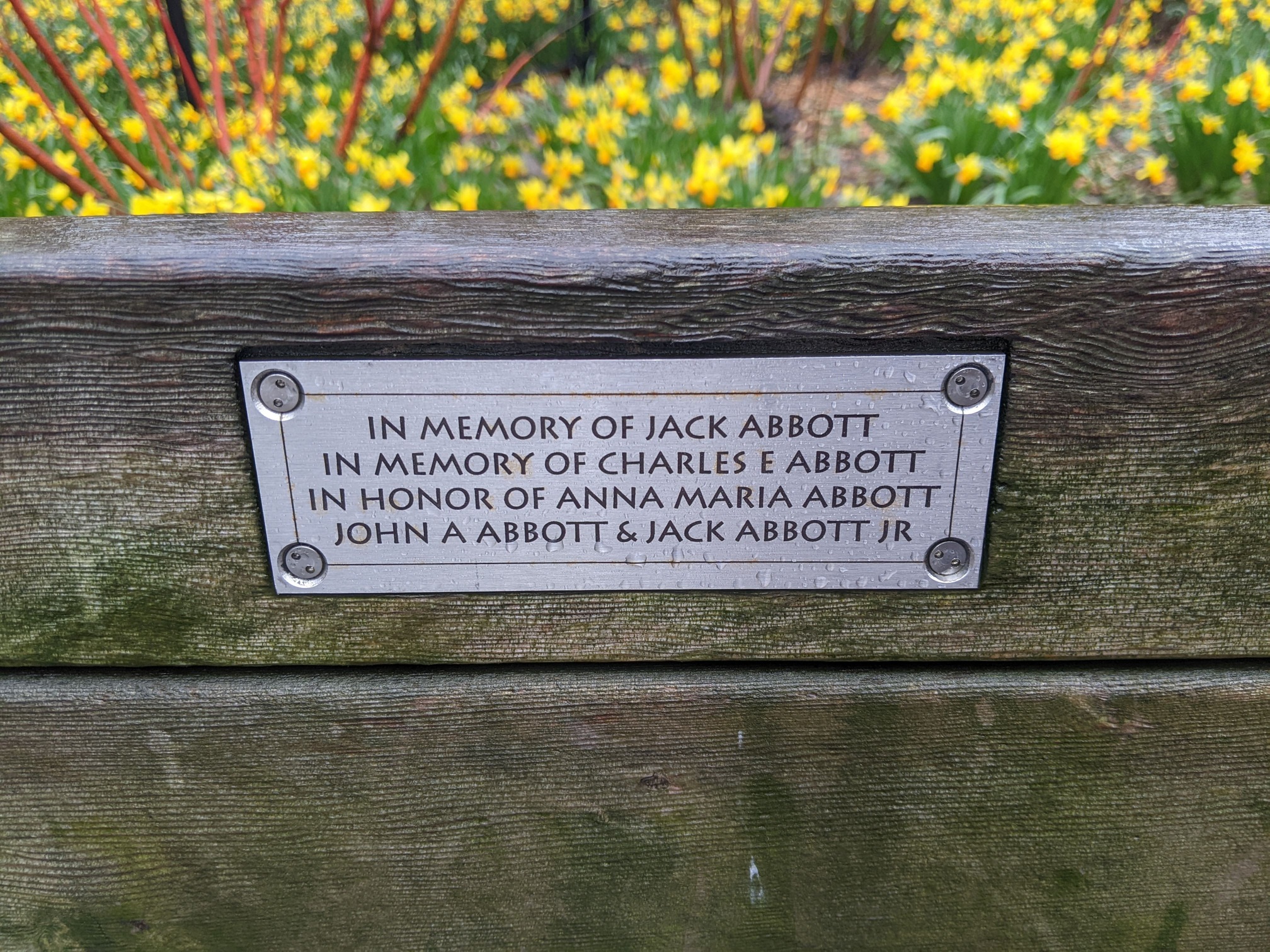 I saw this bench in Central Park