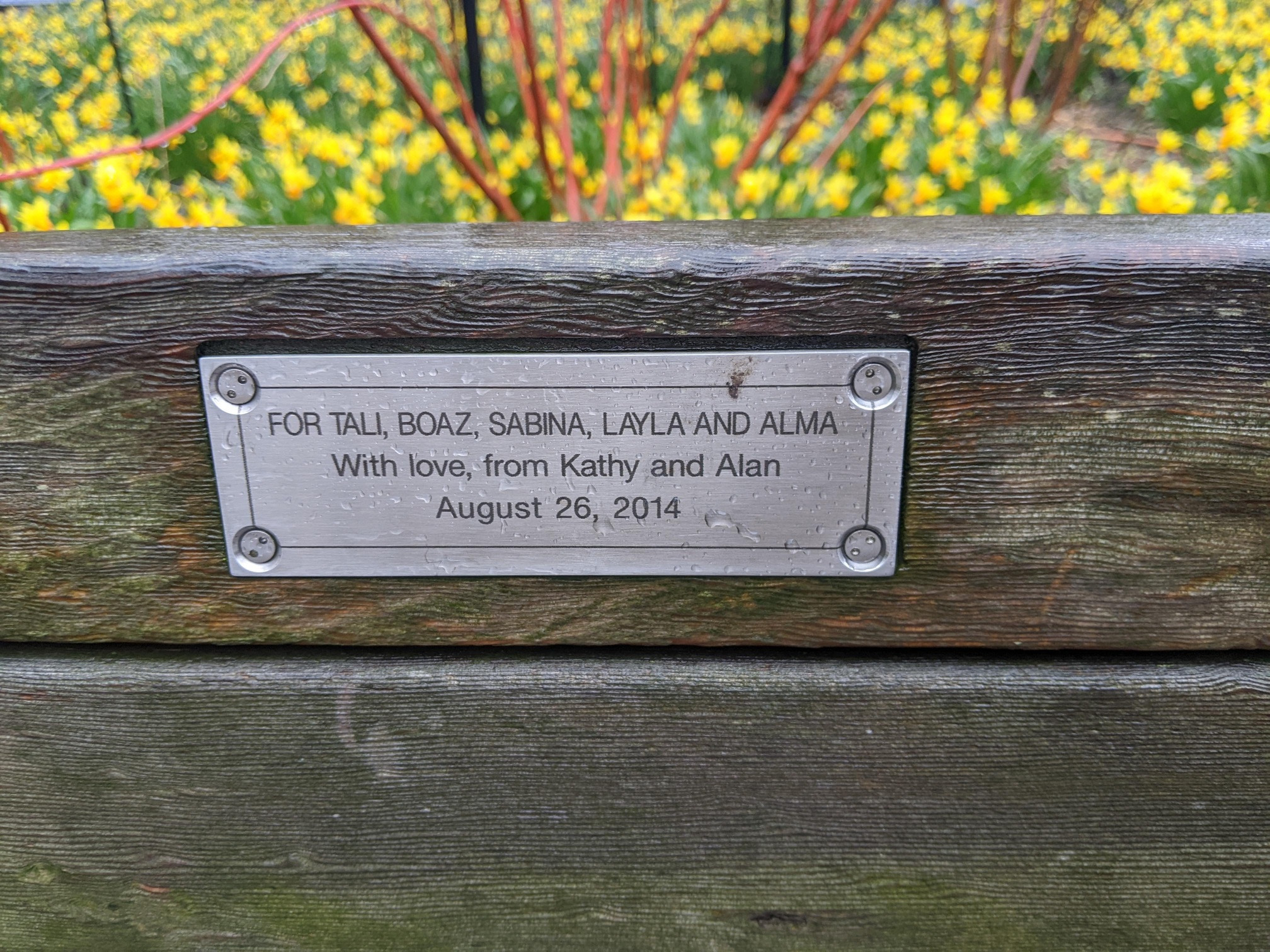 I saw this bench in Central Park