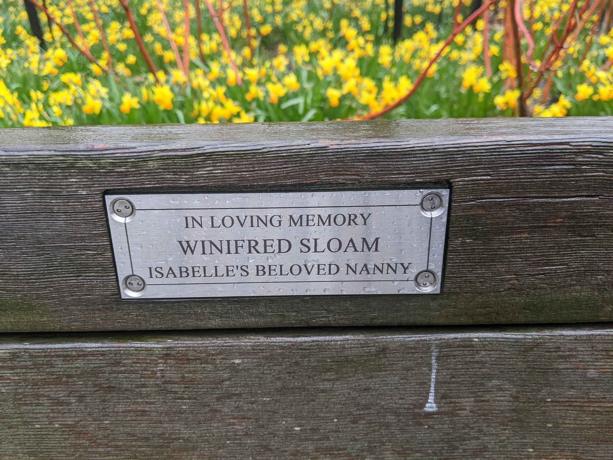 I saw this bench in Central Park