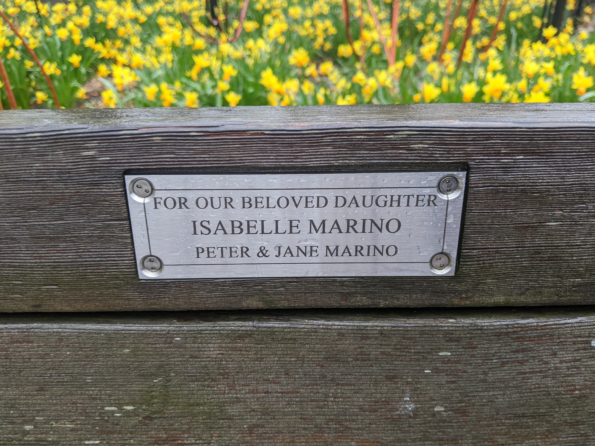 I saw this bench in Central Park