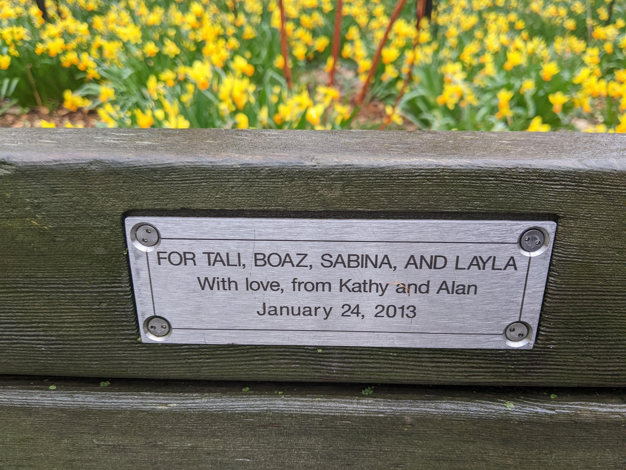 I saw this bench in Central Park