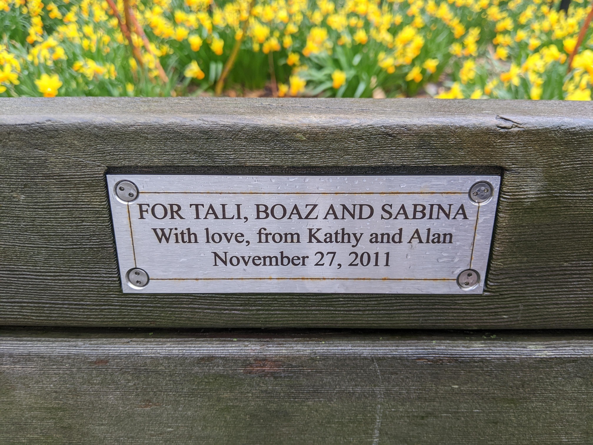 I saw this bench in Central Park