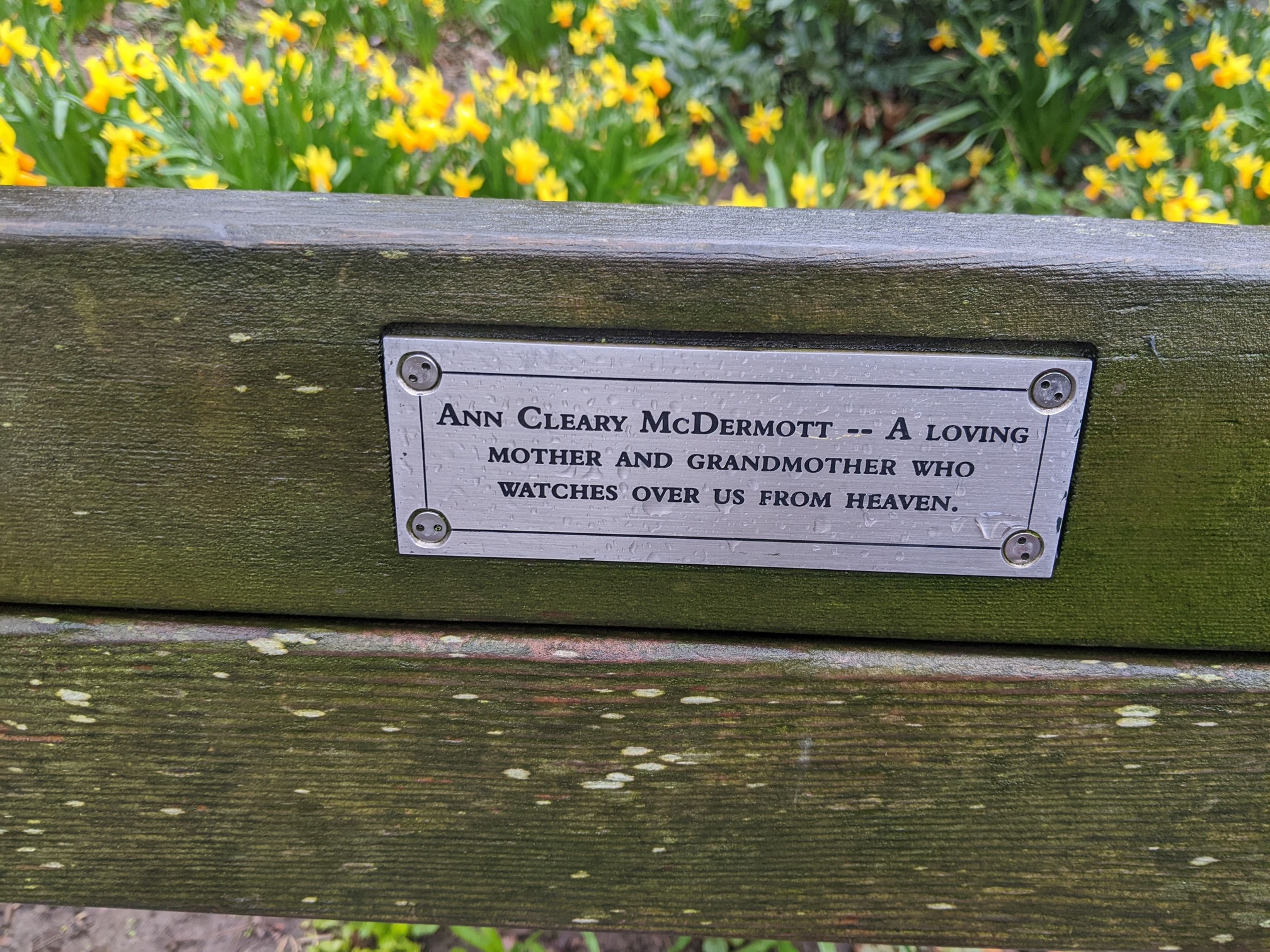 I saw this bench in Central Park