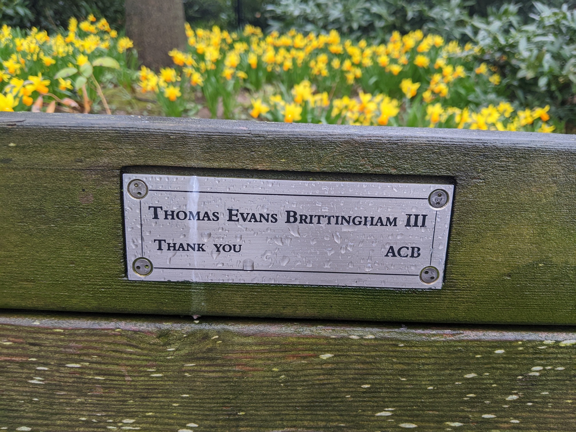 I saw this bench in Central Park