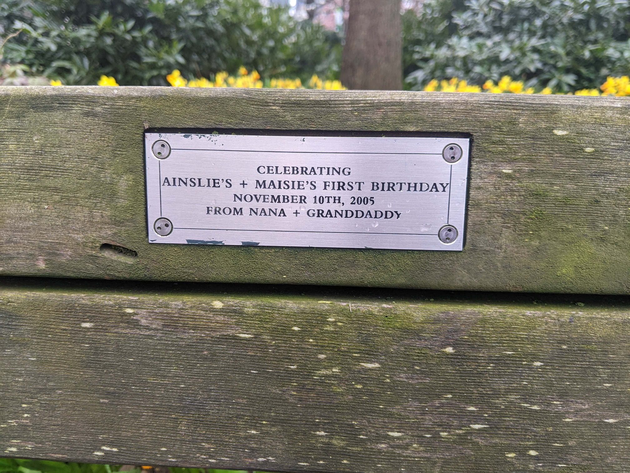 I saw this bench in Central Park