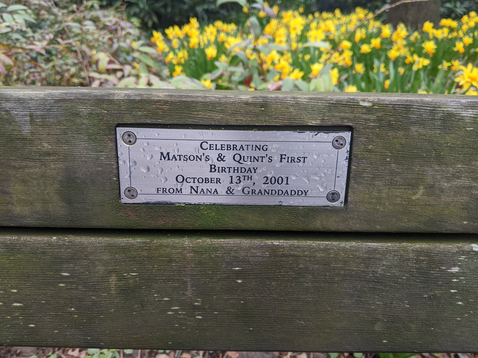 I saw this bench in Central Park