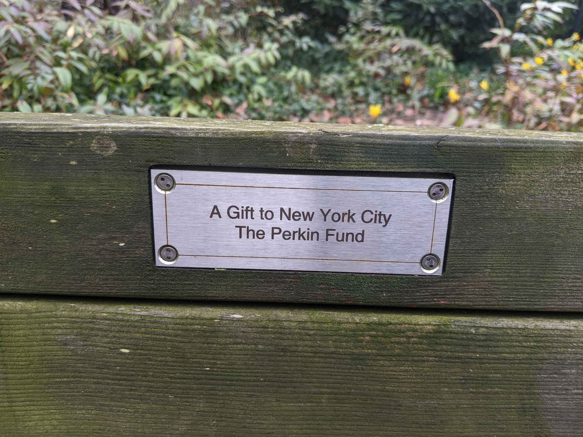 I saw this bench in Central Park