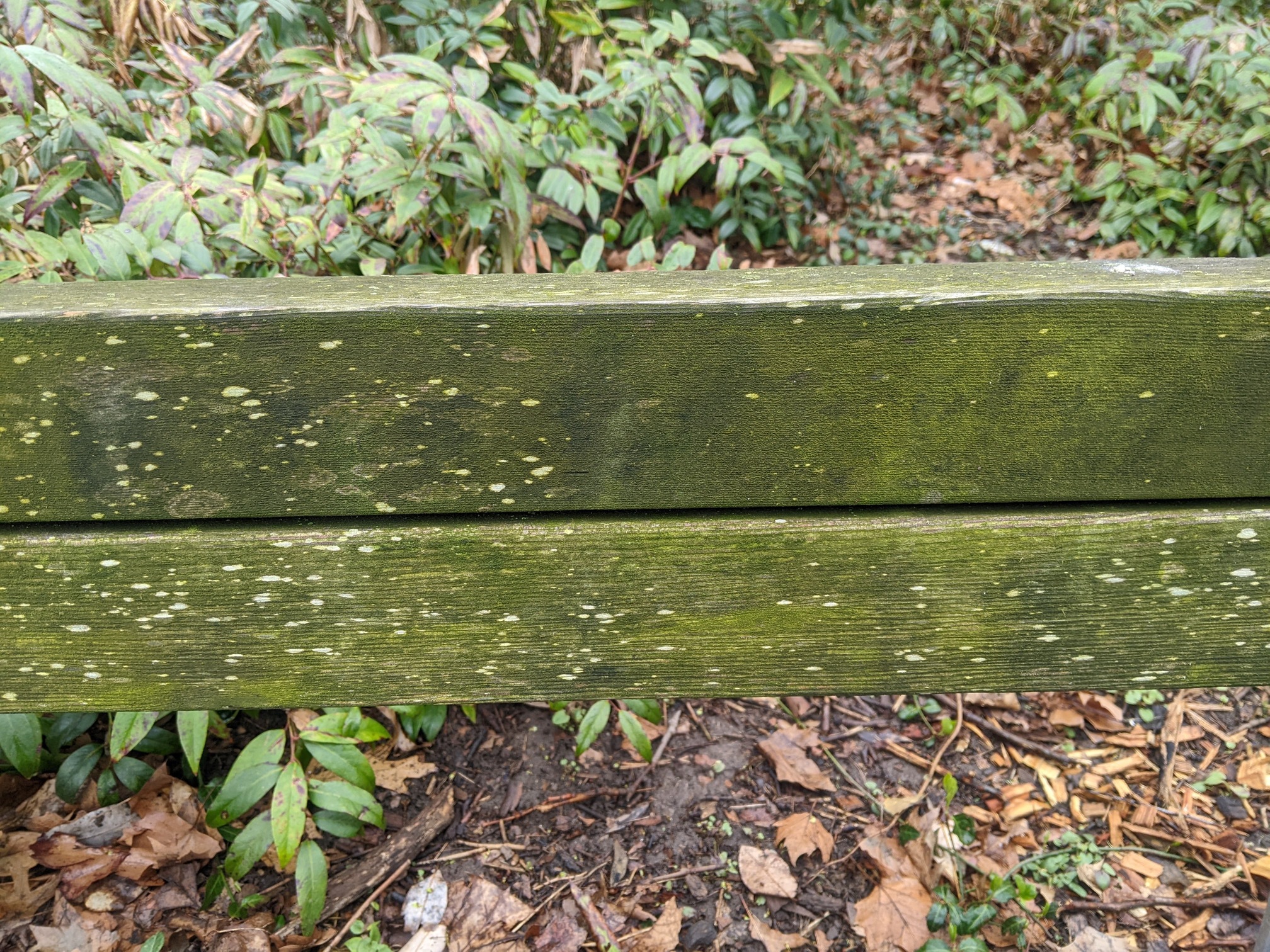 I saw this bench in Central Park