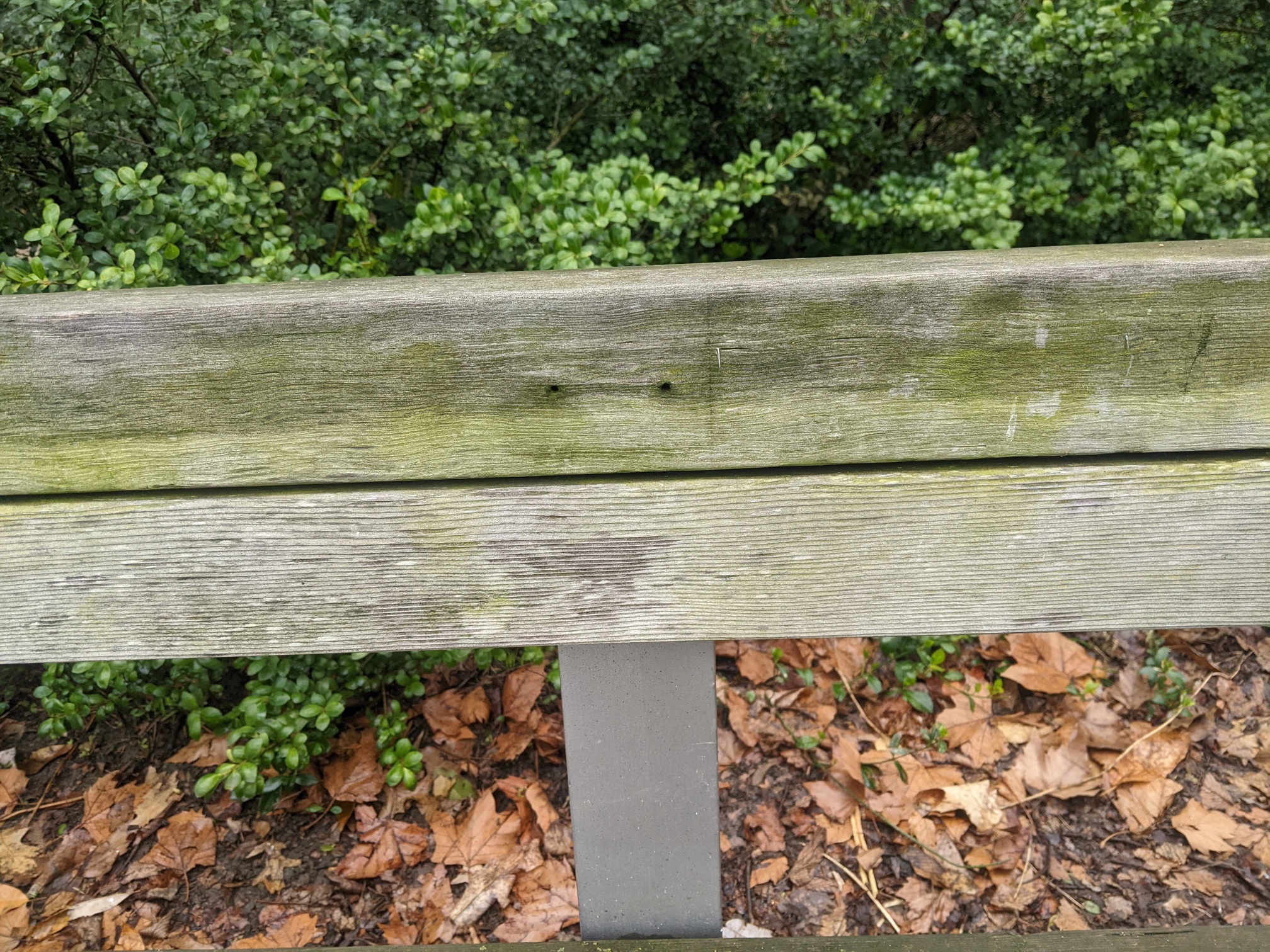 I saw this bench in Central Park