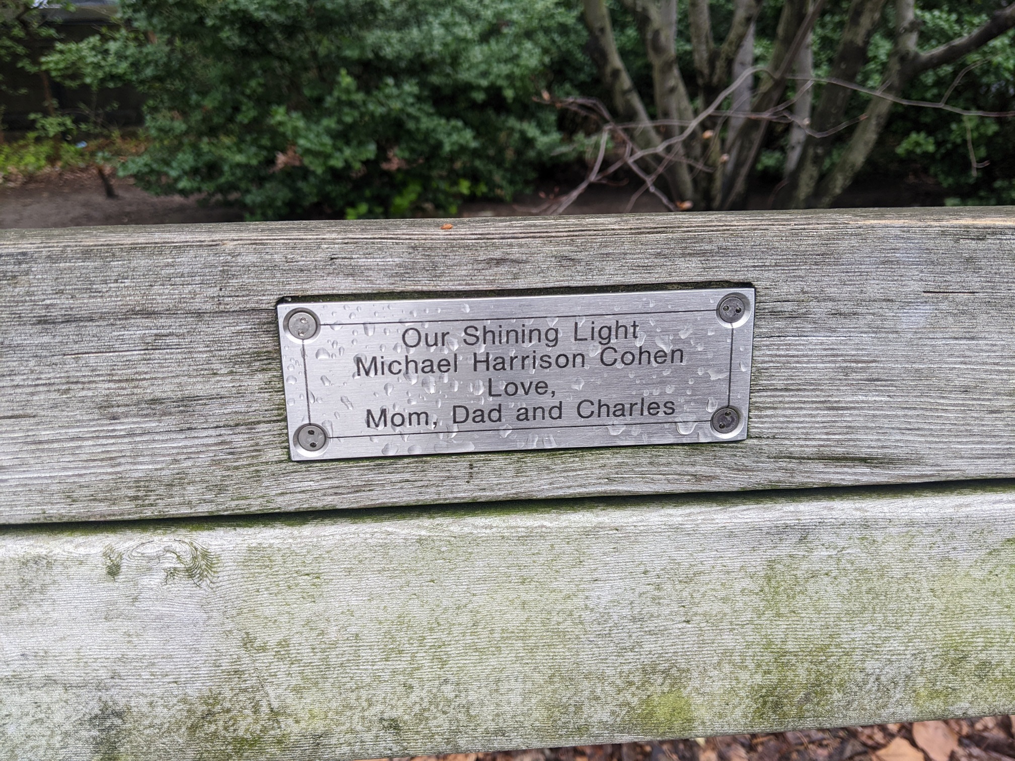 I saw this bench in Central Park