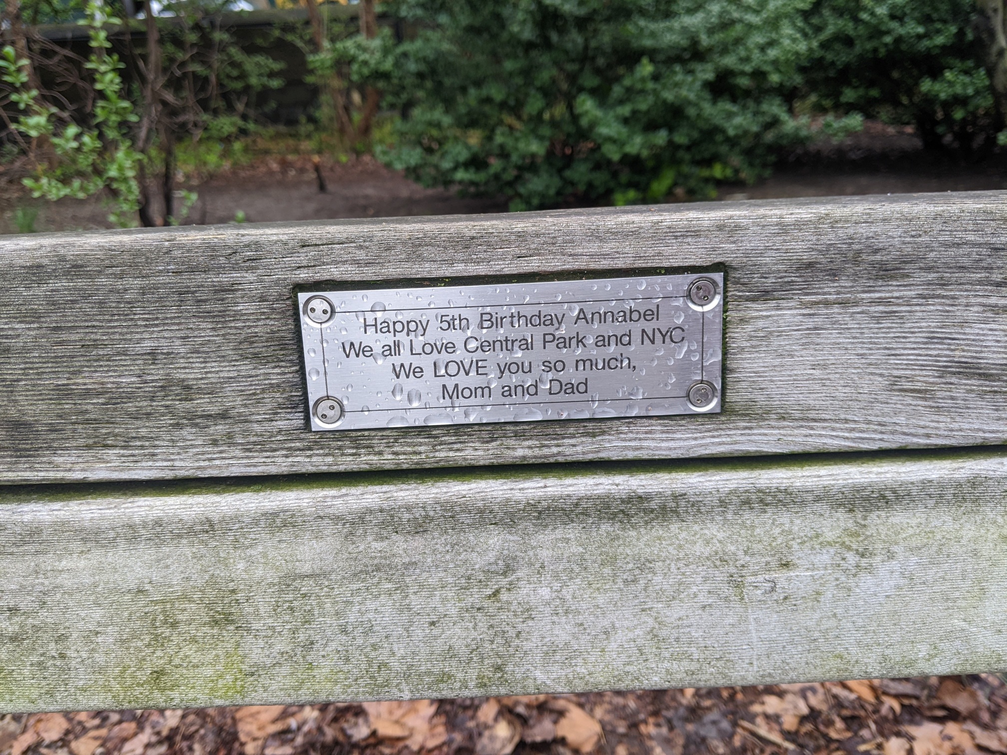 I saw this bench in Central Park