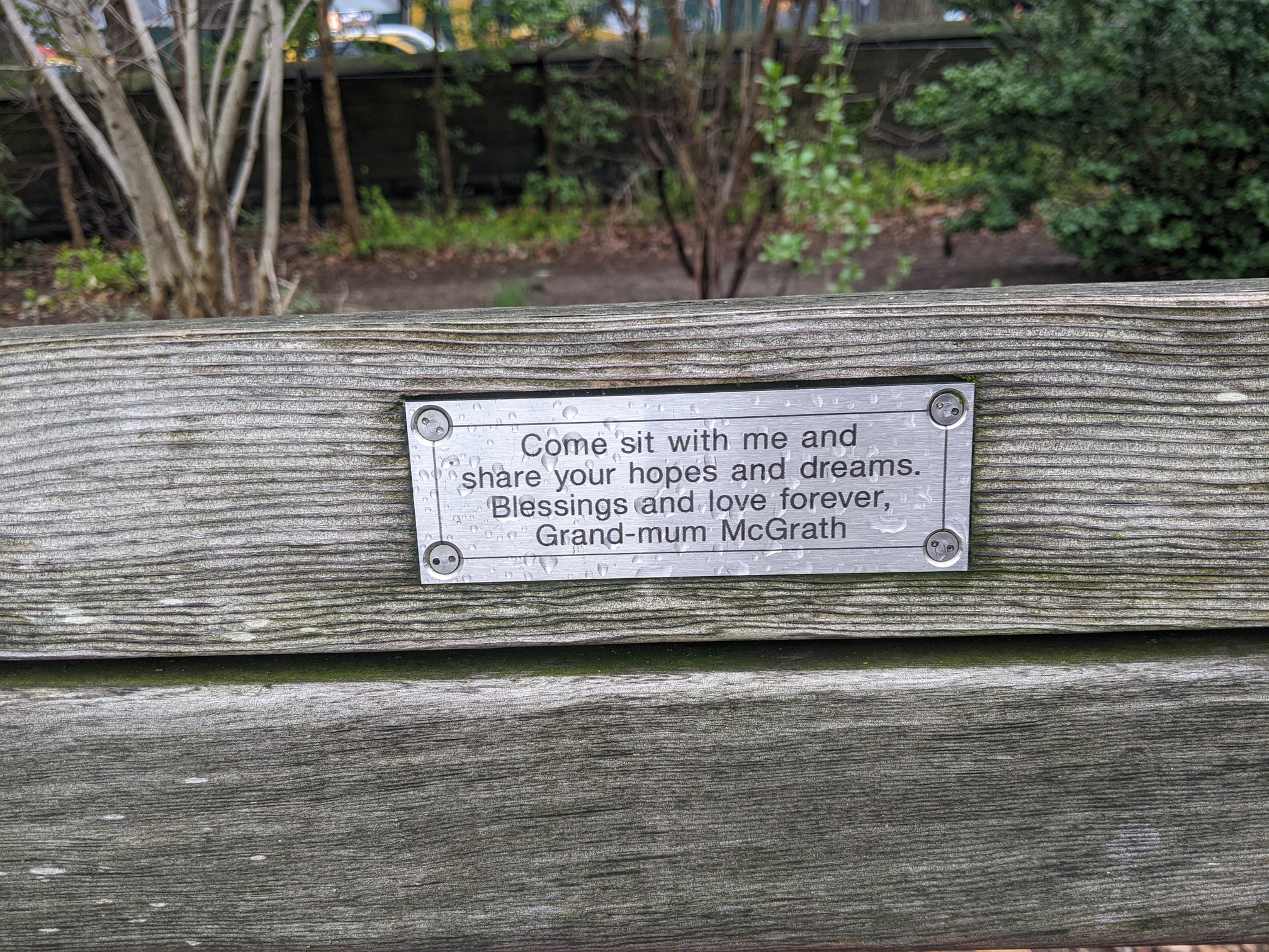 I saw this bench in Central Park