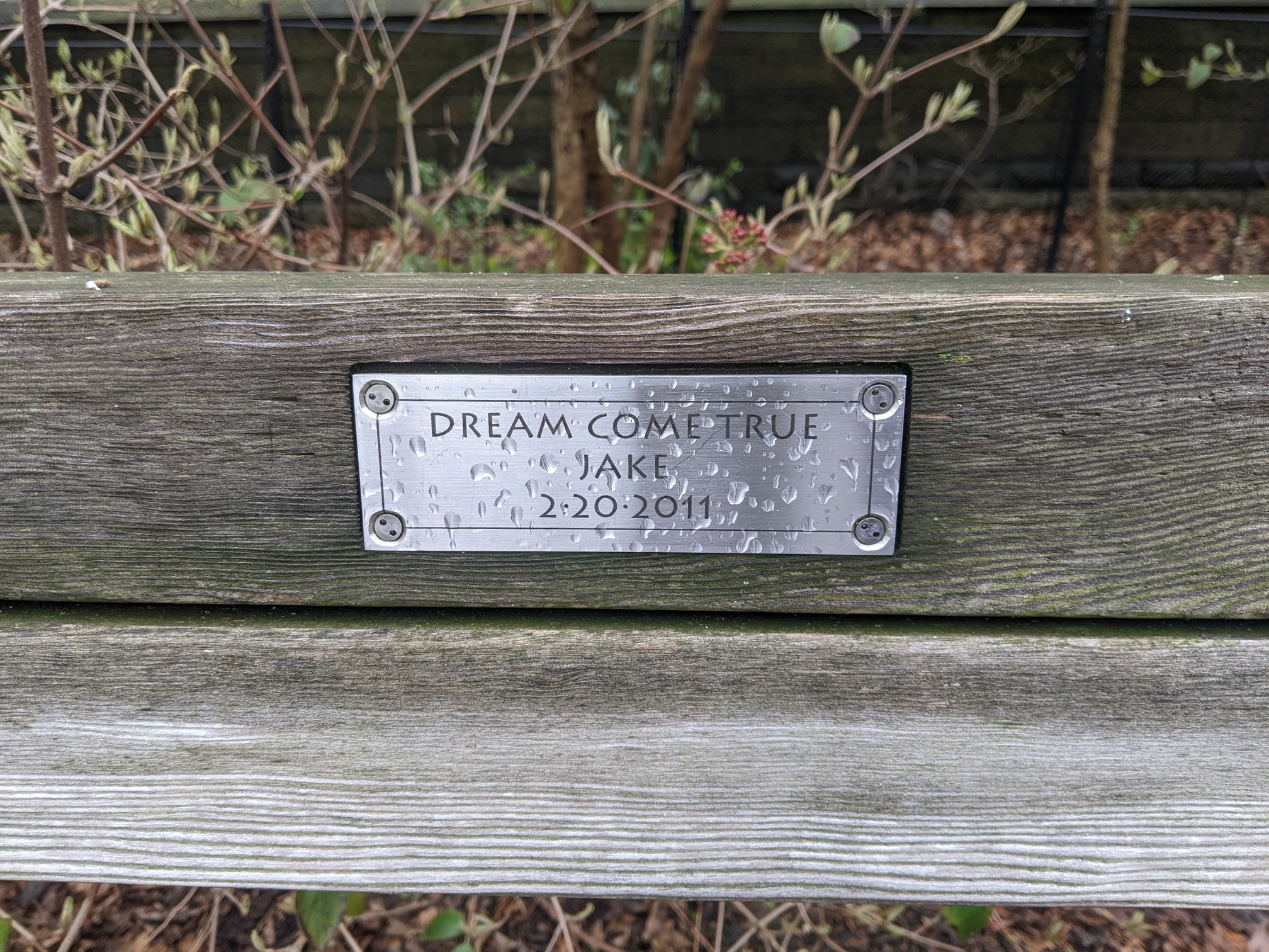 I saw this bench in Central Park