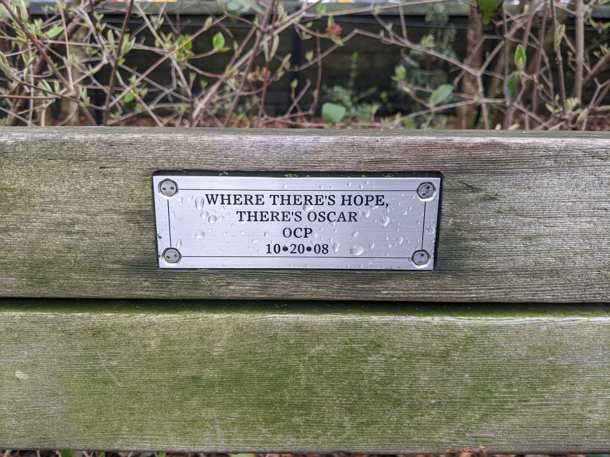 I saw this bench in Central Park