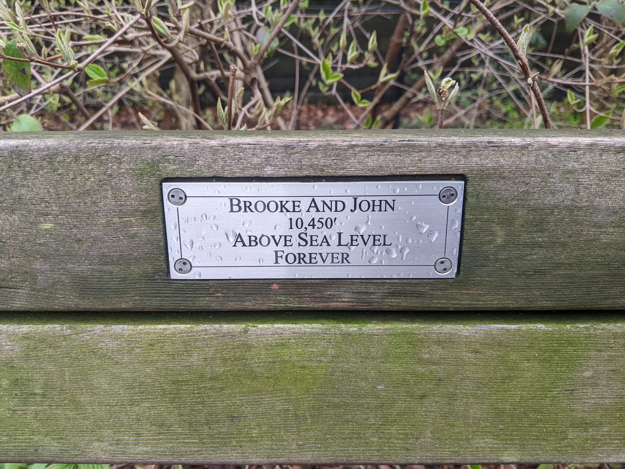 I saw this bench in Central Park