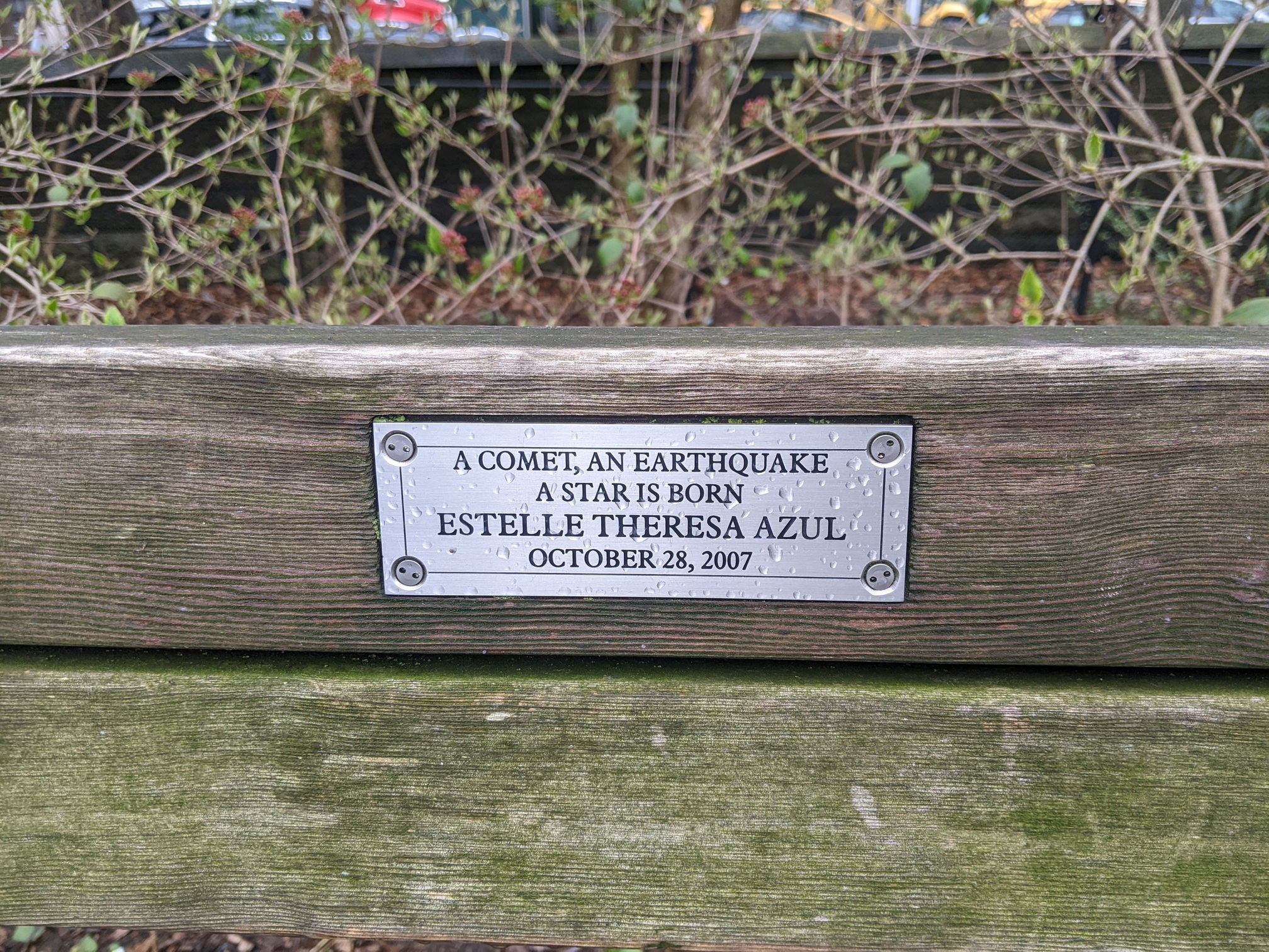 I saw this bench in Central Park