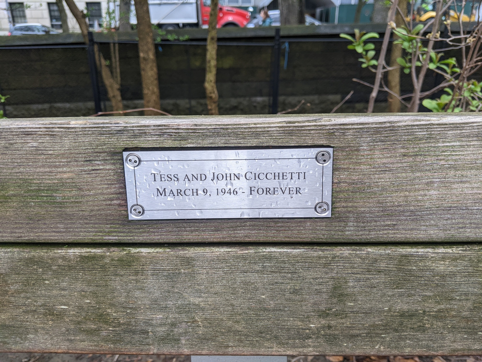 I saw this bench in Central Park