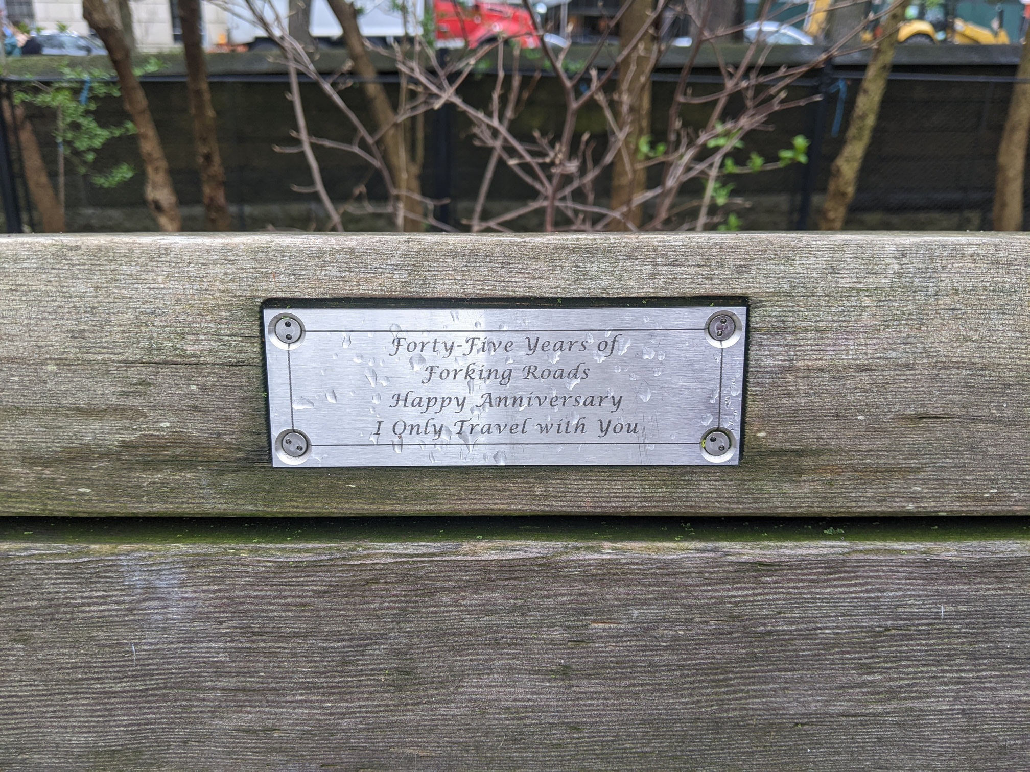 I saw this bench in Central Park