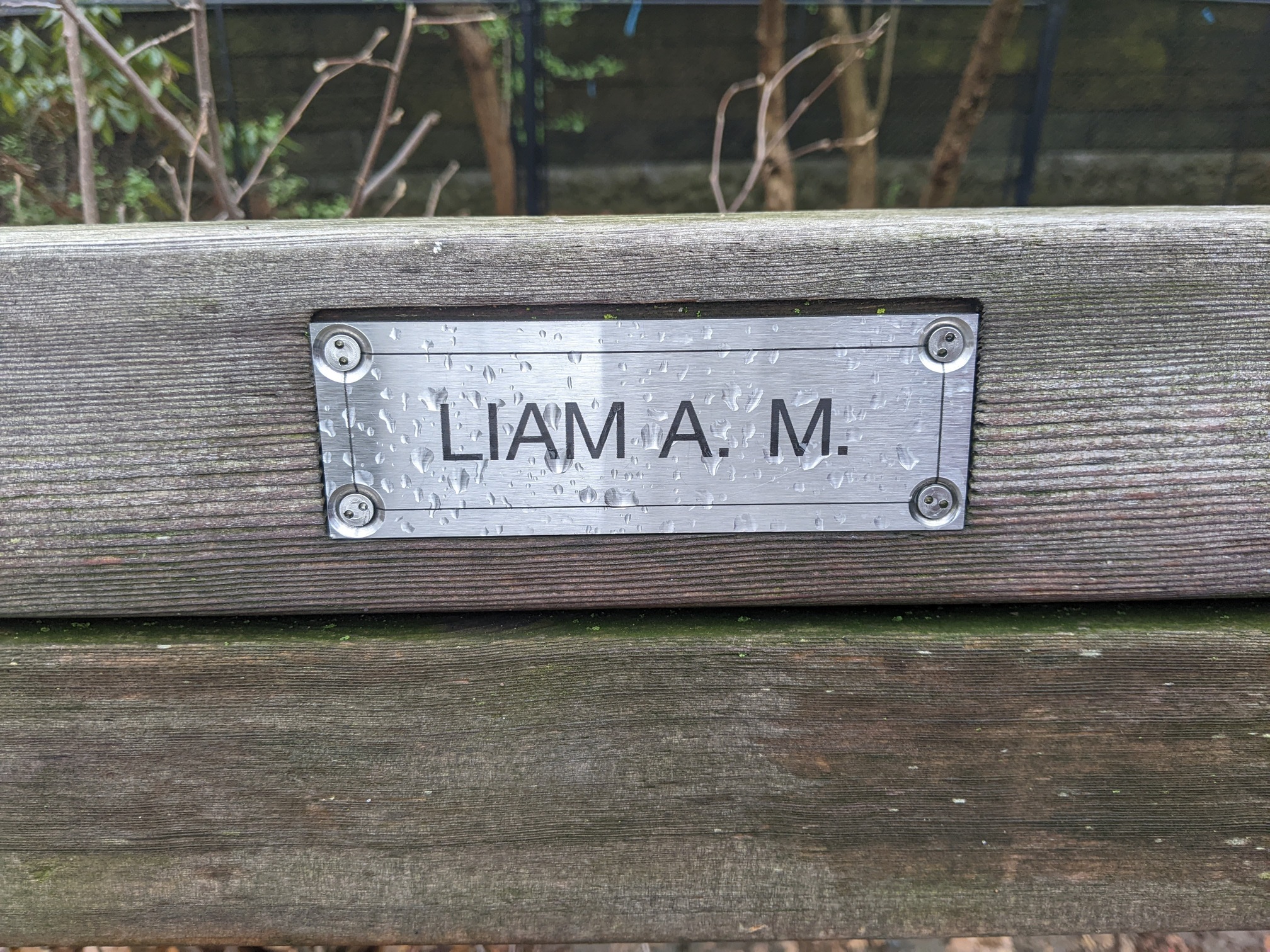 I saw this bench in Central Park