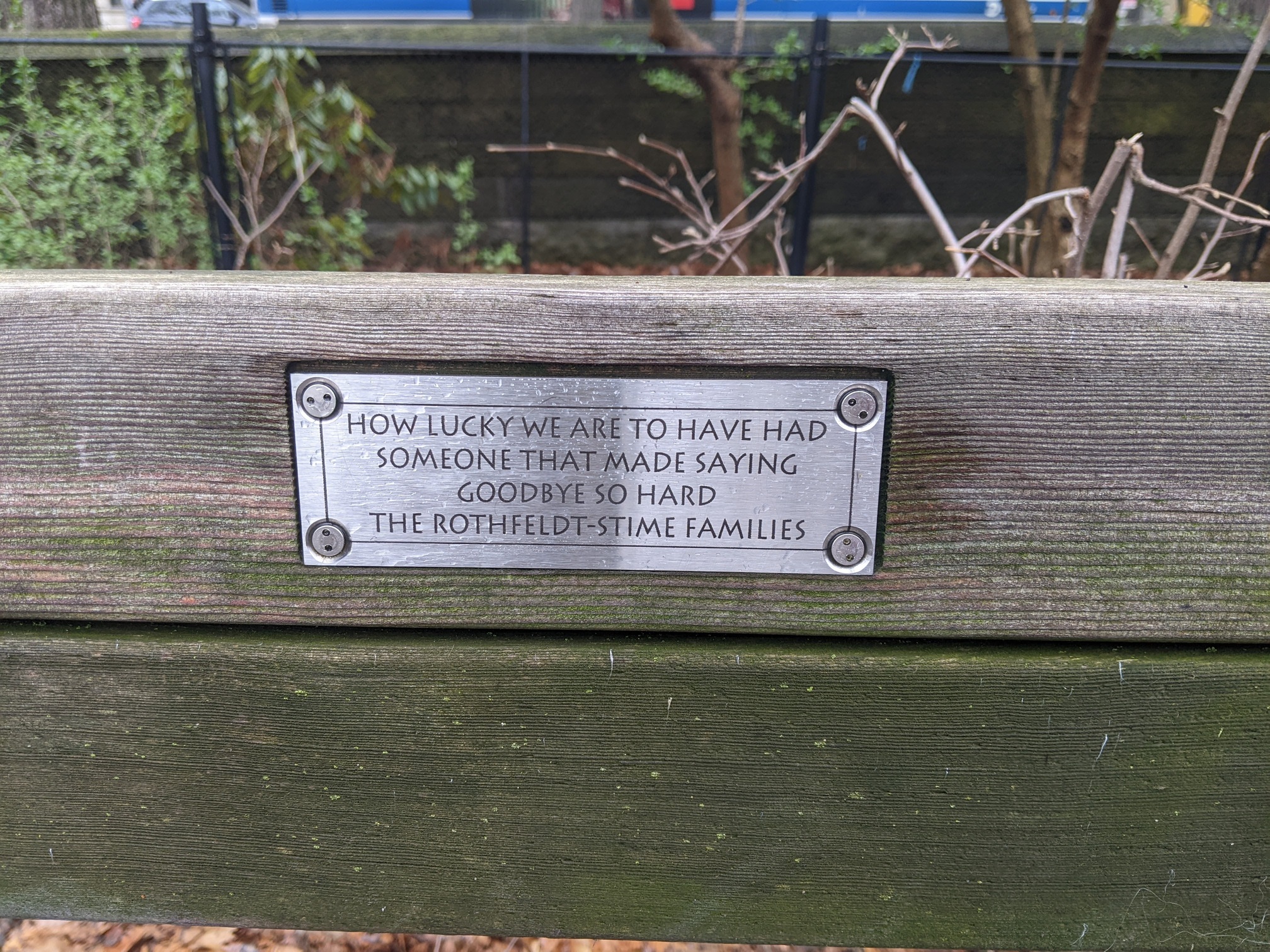 I saw this bench in Central Park