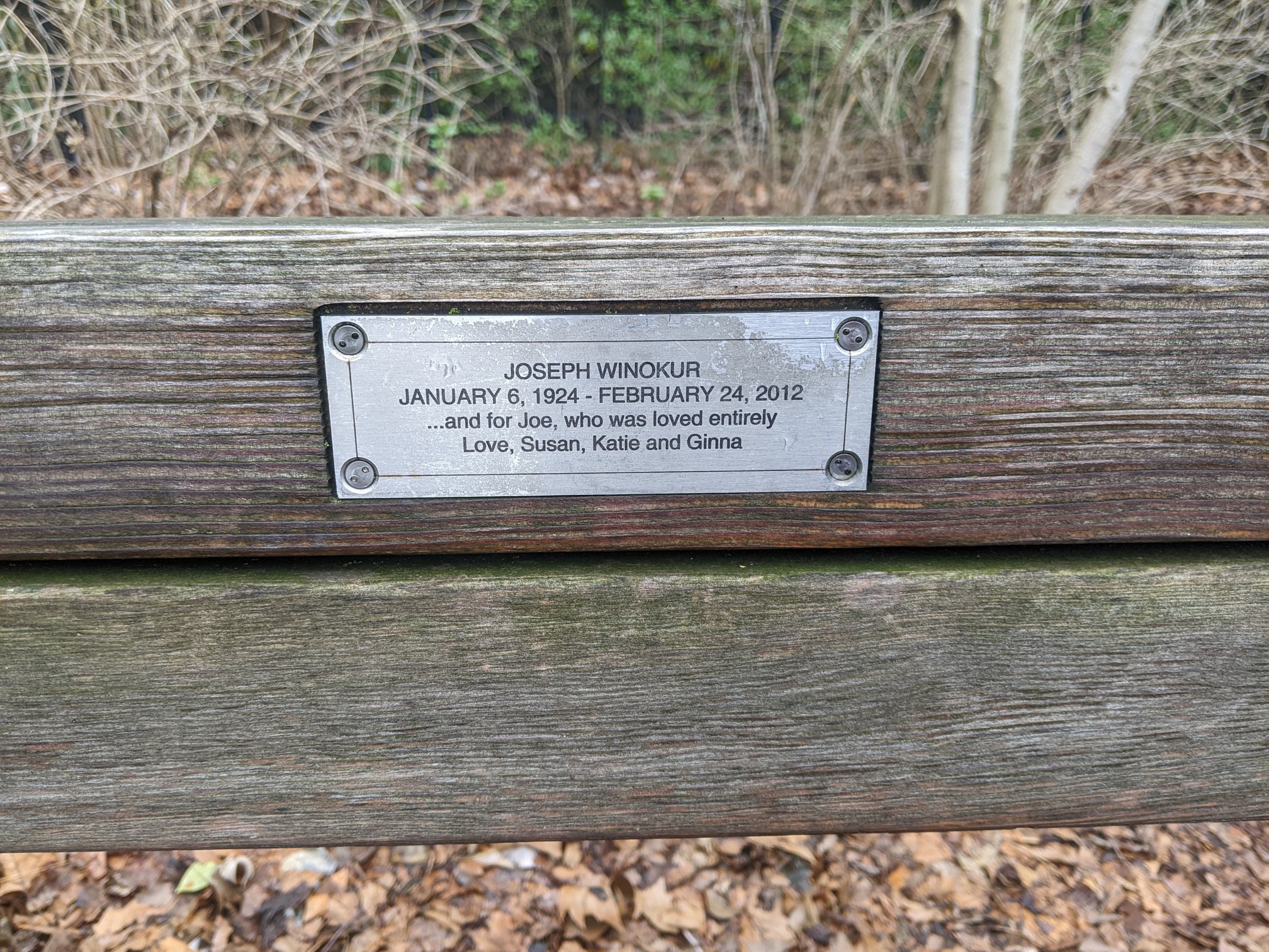 I saw this bench in Central Park