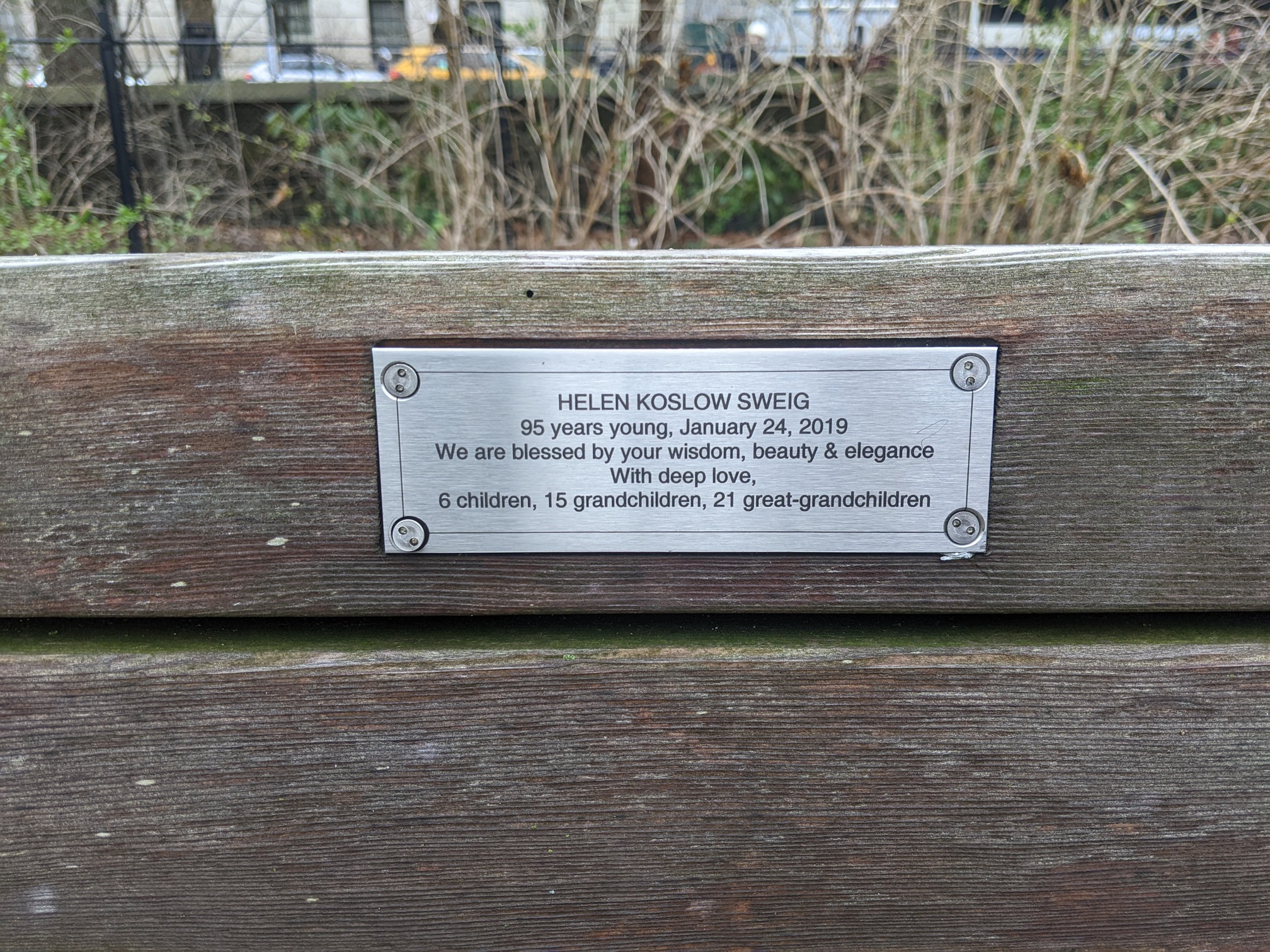 I saw this bench in Central Park