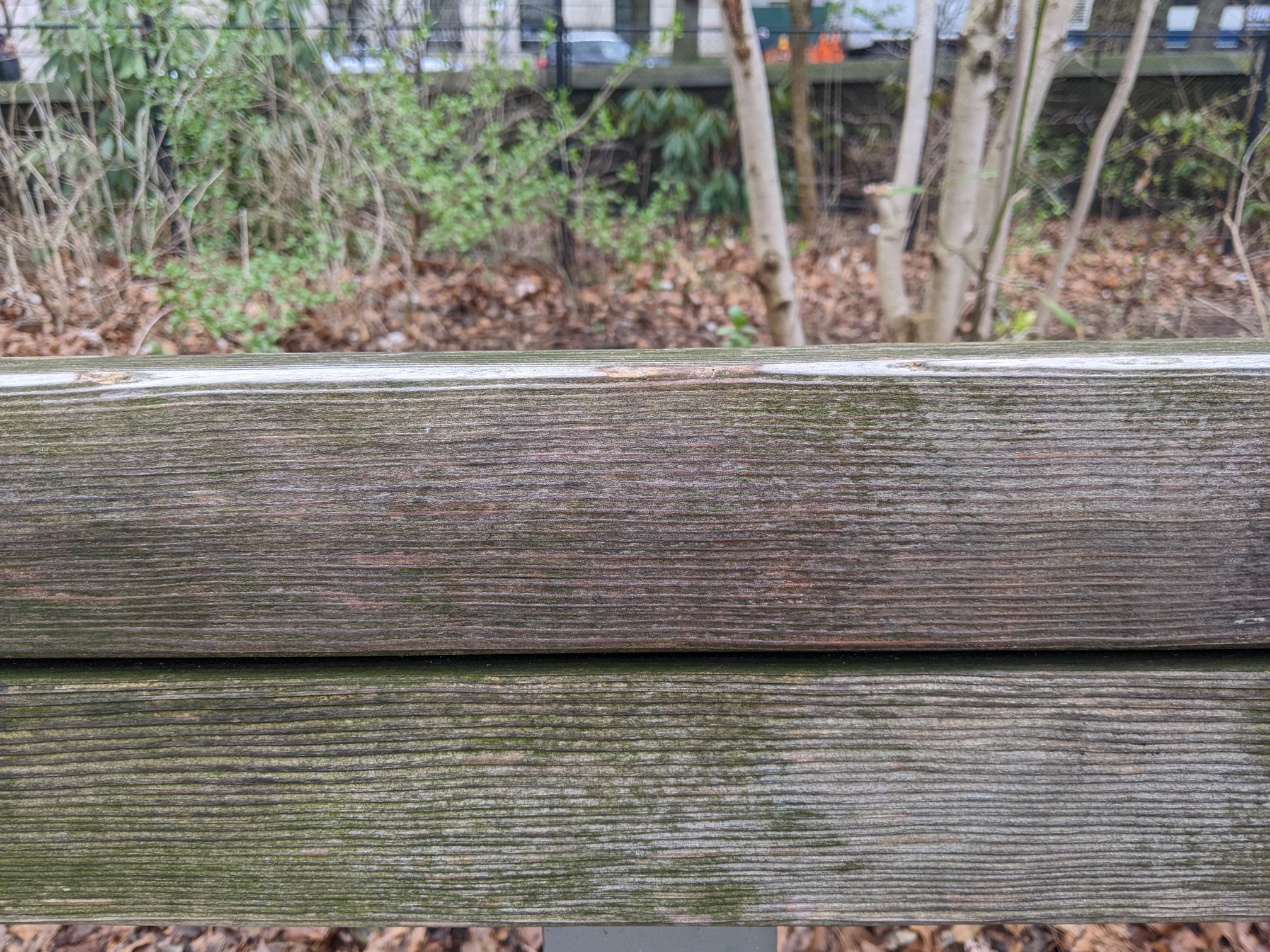 I saw this bench in Central Park