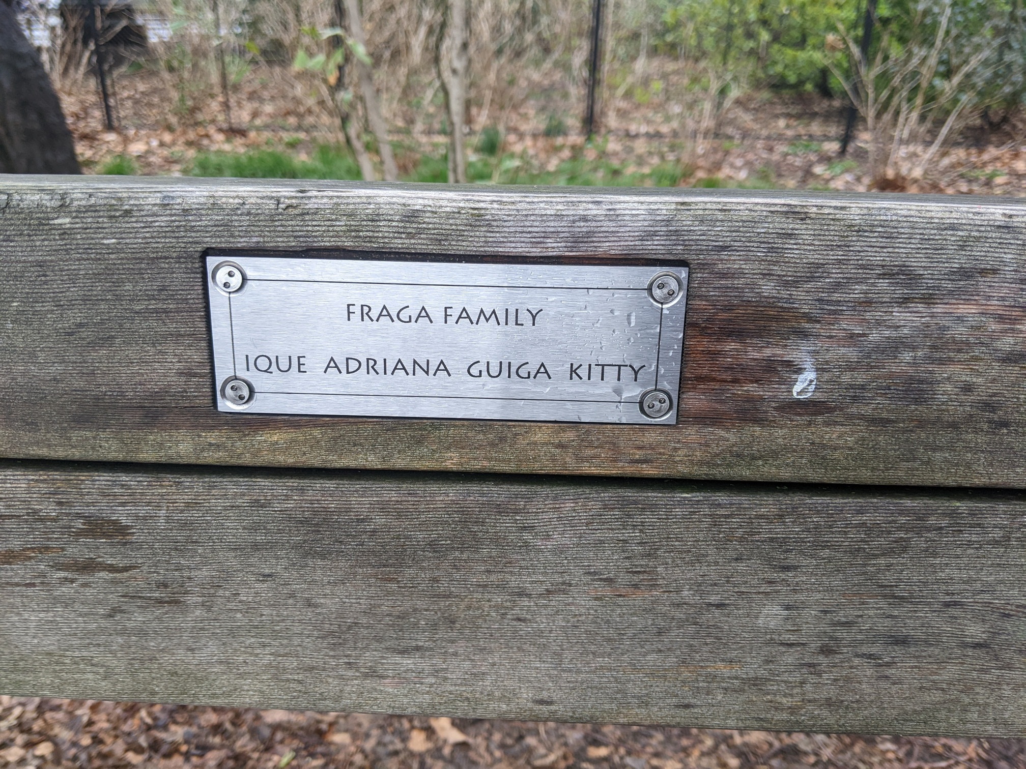 I saw this bench in Central Park