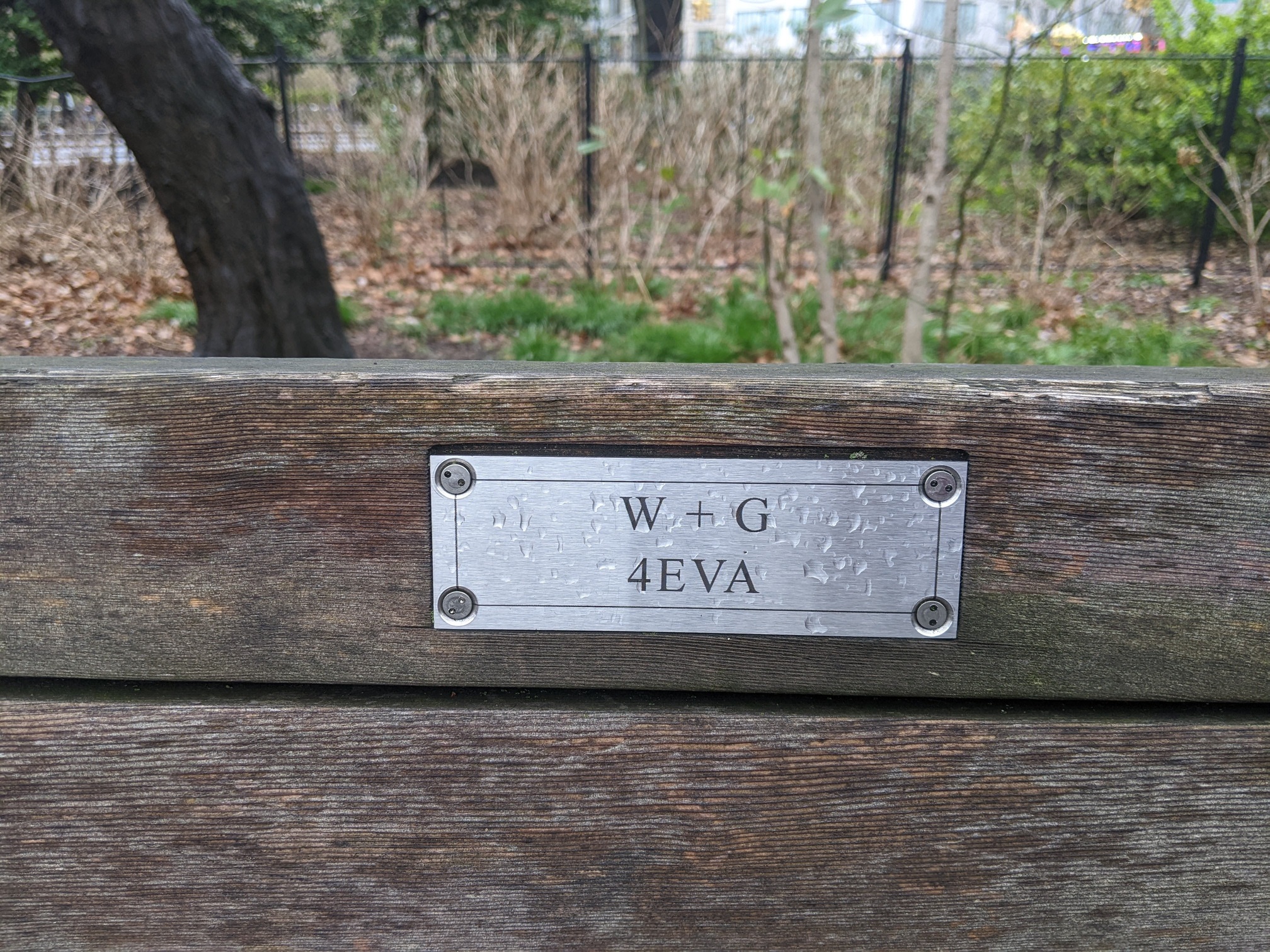 I saw this bench in Central Park