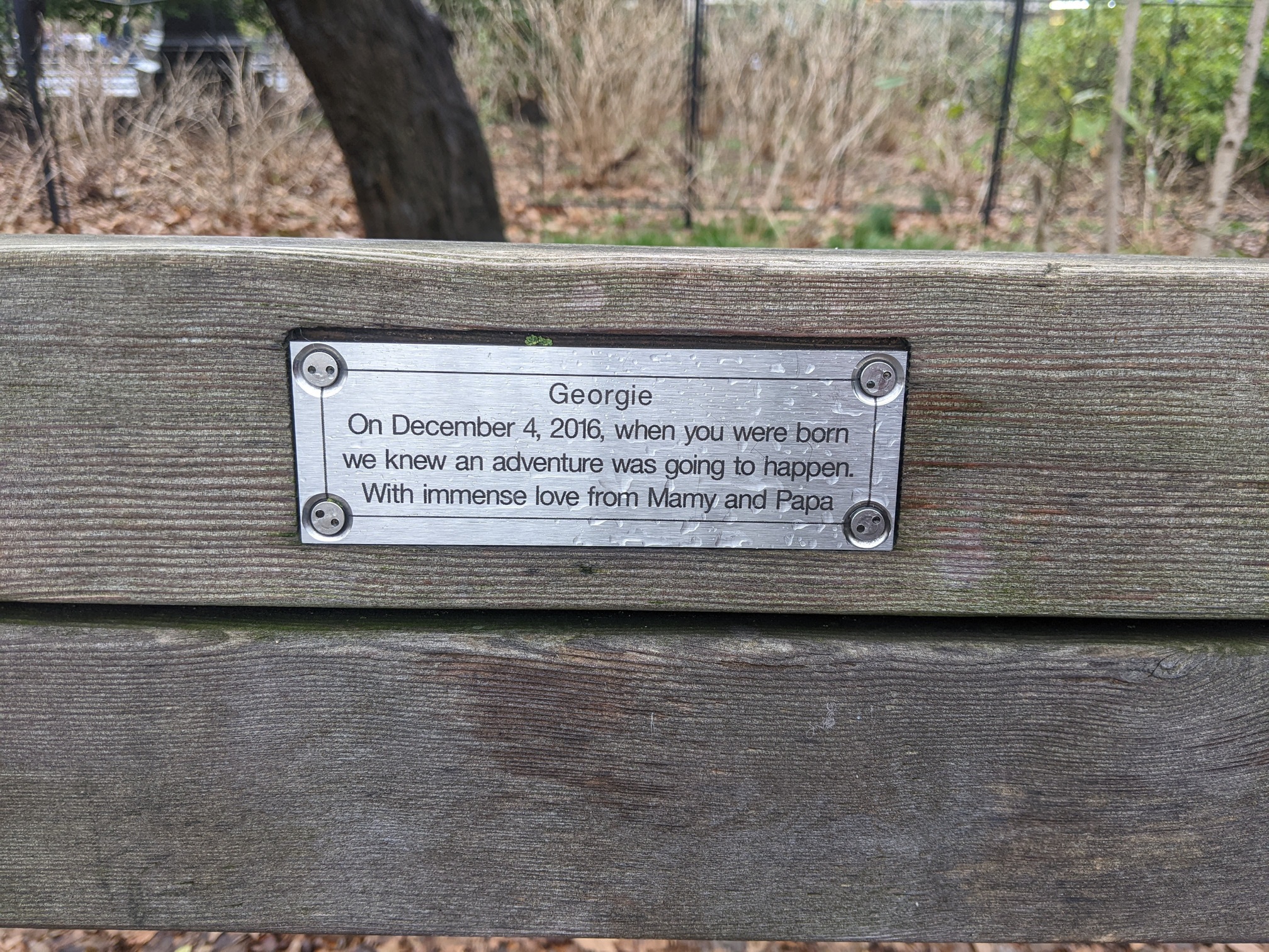 I saw this bench in Central Park