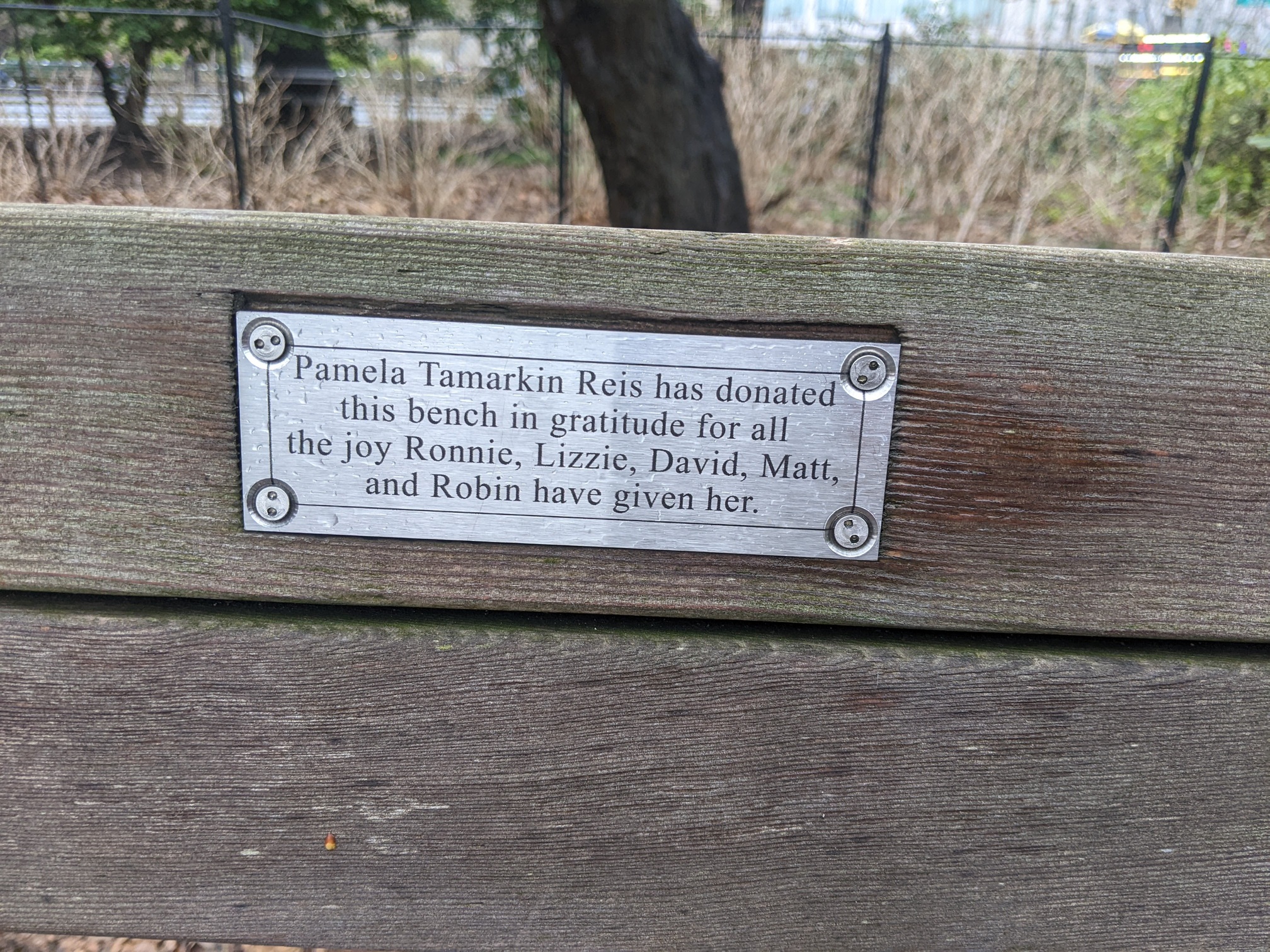 I saw this bench in Central Park