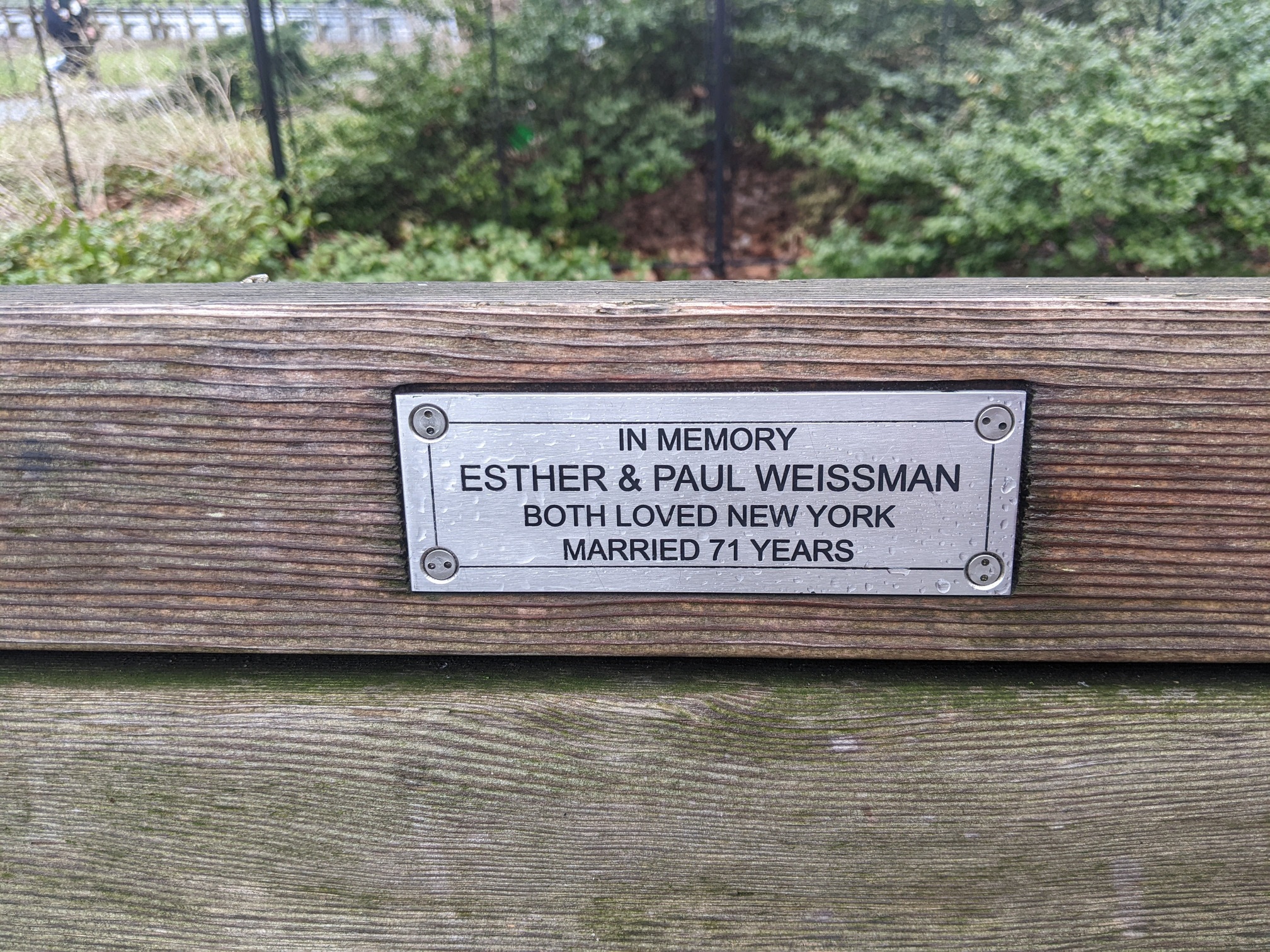 I saw this bench in Central Park