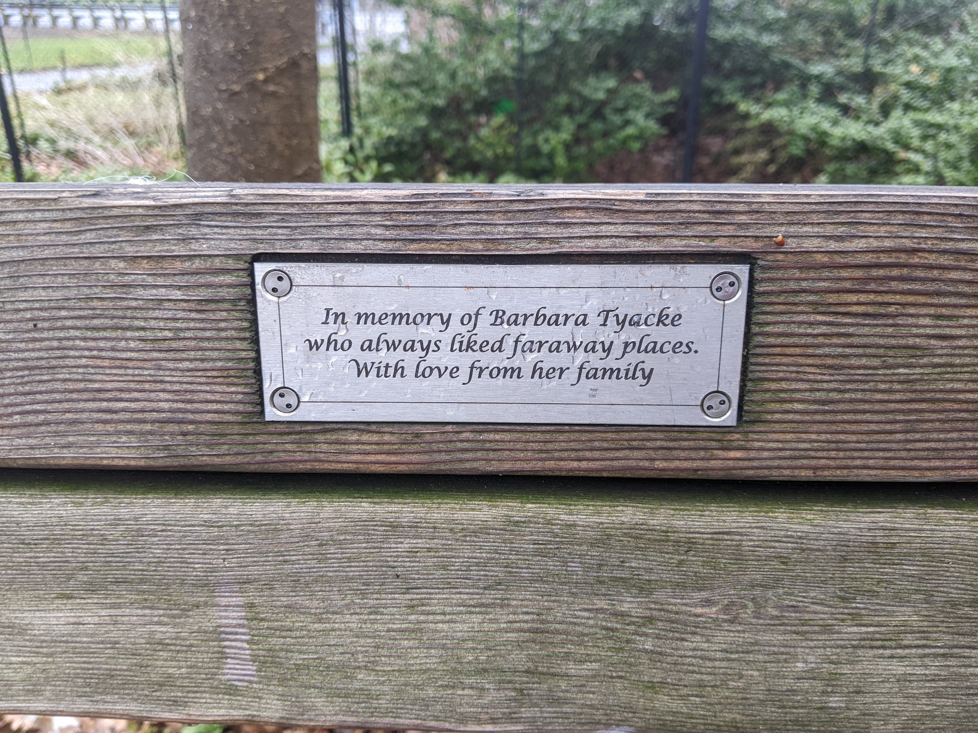 I saw this bench in Central Park